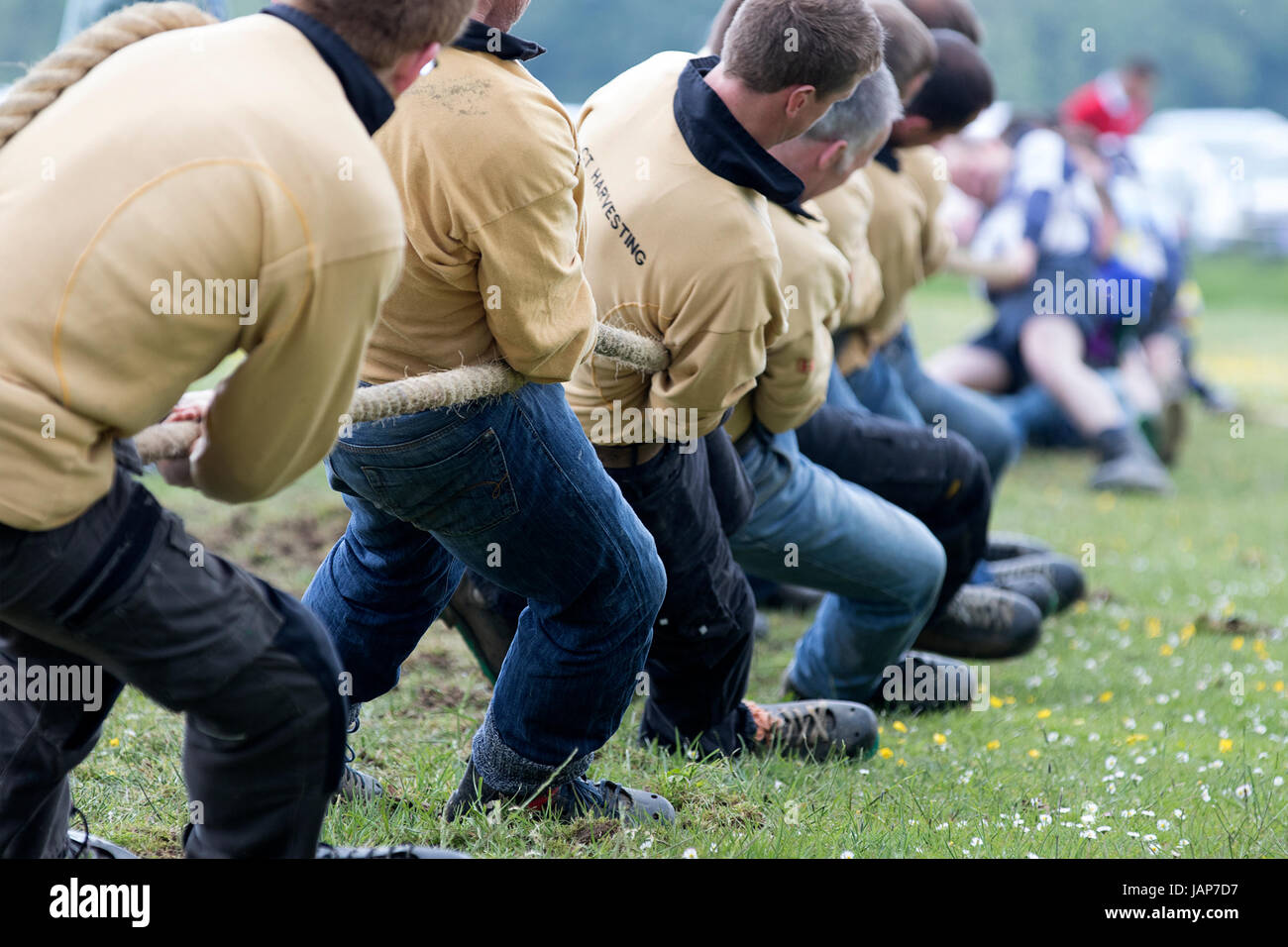 Cornhill, Scozia - 03 GIU 2017: un rimorchiatore di guerra la concorrenza a giochi delle Highland in Cornhill, Scozia. Foto Stock