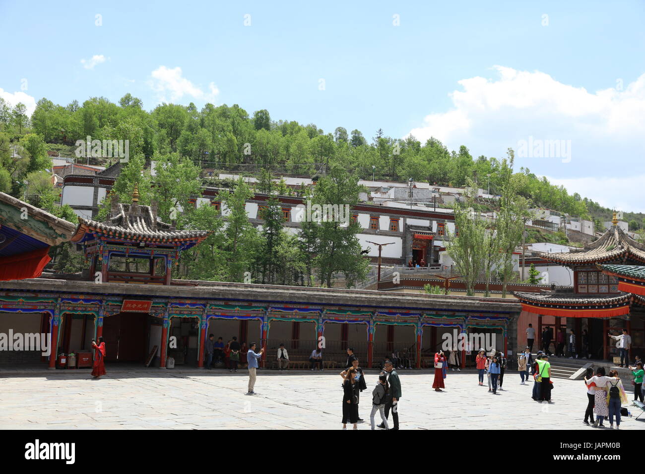 7 giugno 2017 - Xining, Xining, Cina - Xining, CINA-7 Giugno 2017: (solo uso editoriale. Cina fuori) ..Il monastero di catrame, uno dei sei più importanti monasteri del Gelukpa (cappello giallo) Scuola di Buddismo tibetano, è un ampio complesso con dozzine di sale e torri sul versante di una montagna in entrambi i tibetani e Han stili architettonici. Situato nella contea di Huangzhong, 25 chilometri da Xining, a nord-ovest della Cina di Provincia di Qinghai, il monastero fu costruito nel 1560 in onore del fondatore della scuola Gelukpa, Tzong Khapa. È conosciuto per le sue numerose sculture di burro, pitture murali e barbolas che completamente Foto Stock