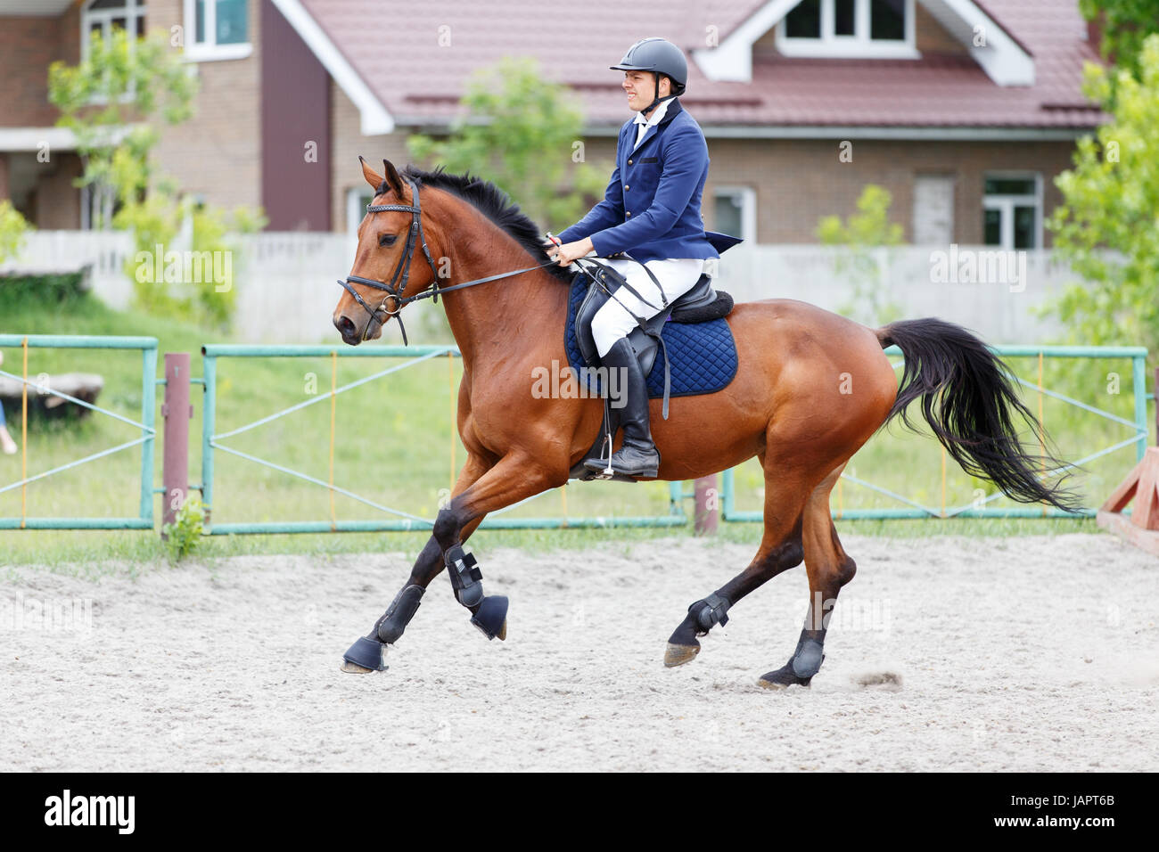 Pilota giovane uomo sulla baia di cavalli sul sport equestri la concorrenza Foto Stock