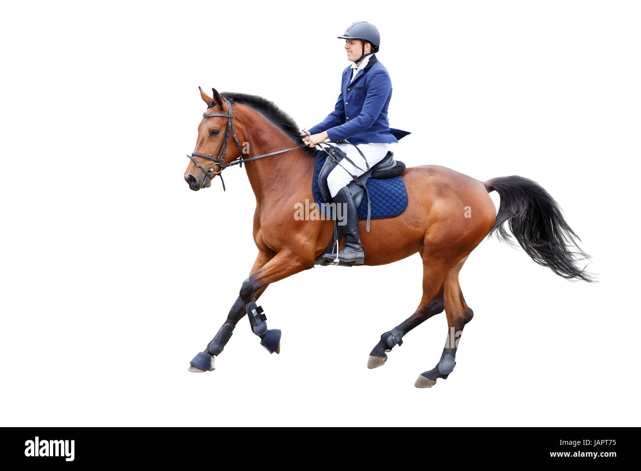 Pilota giovane uomo nel casco sul cavallo baia isolata su sfondo bianco Foto Stock