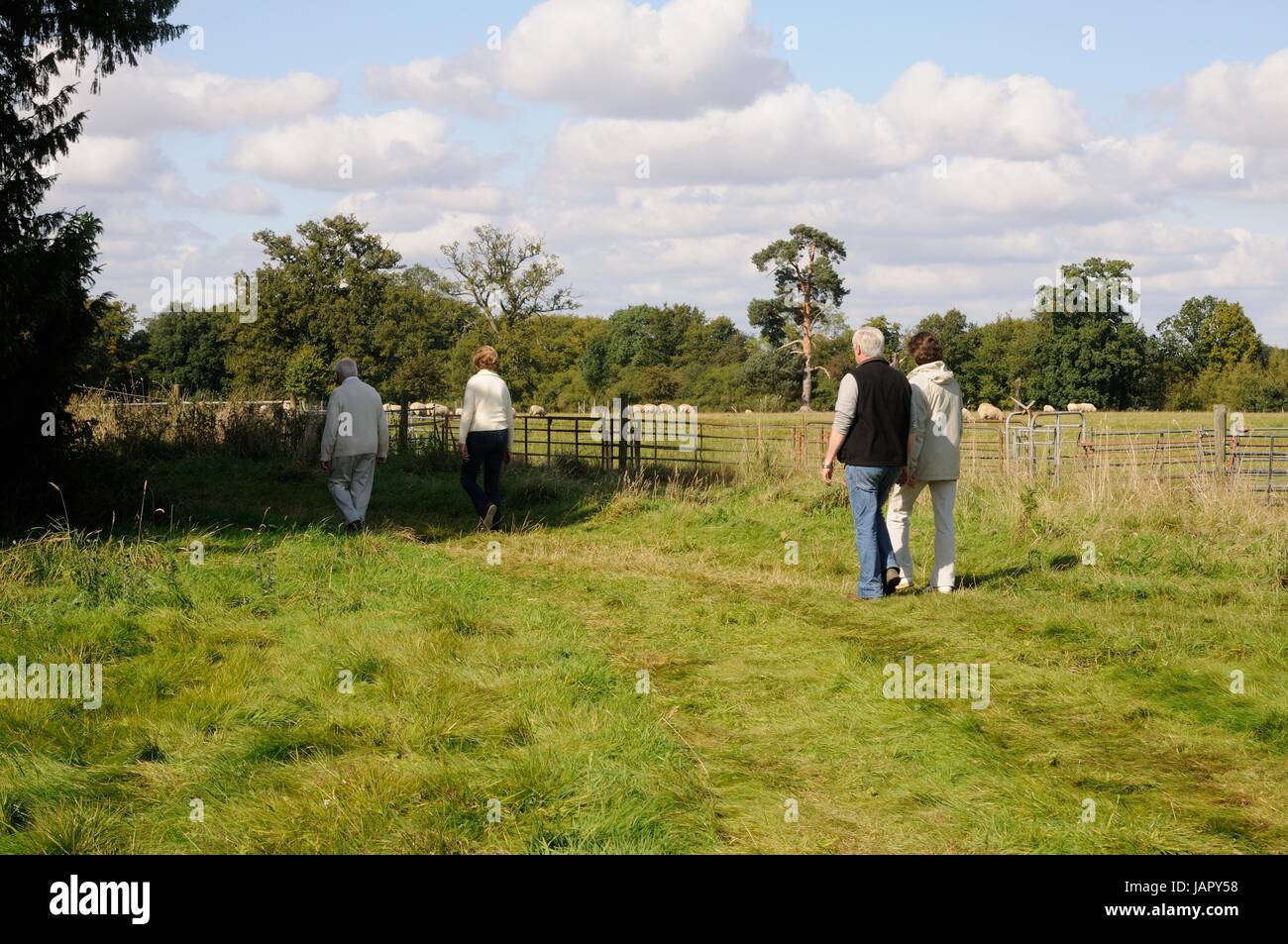 Visualizzare attraverso i campi nei pressi della nuova chiesa di San Lorenzo, Ayot St Lawrence, Hertfordshire. I sentieri offrono passeggiate deliziose dal villaggio. Foto Stock