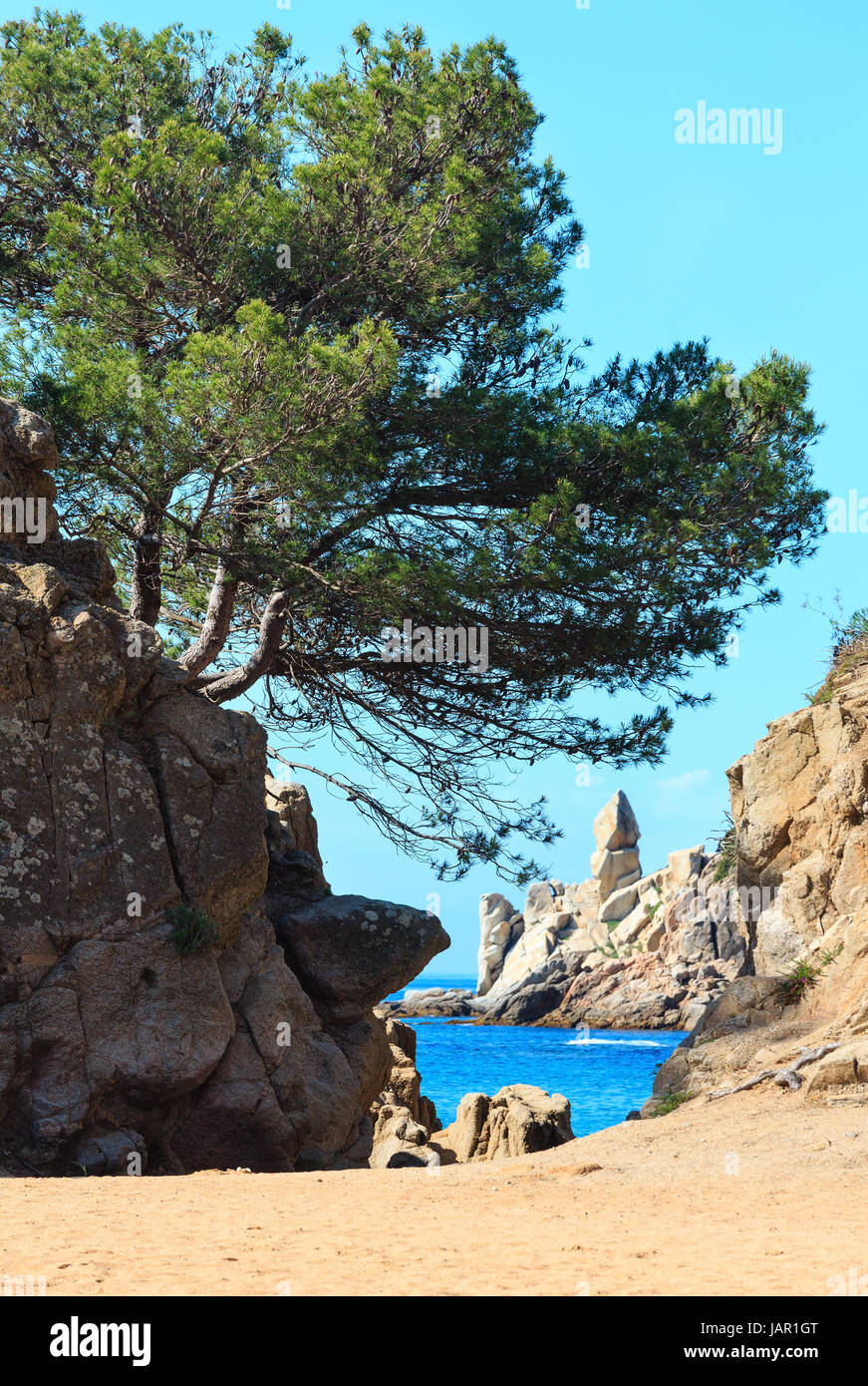 Spiaggia di sabbia con formazioni rocciose e da alberi di pino. Mare Mediterraneo coast summer view (Costa Brava Catalogna). Foto Stock