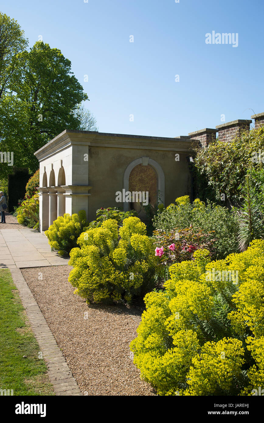 L E EUFORBIE ruba la scena in questo coloratissimo erbacee in frontiera Walmer Castle Gardens nel Kent REGNO UNITO Foto Stock