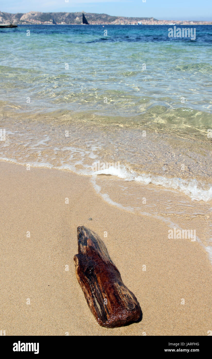 Driftwood spiaggia sarda Foto Stock