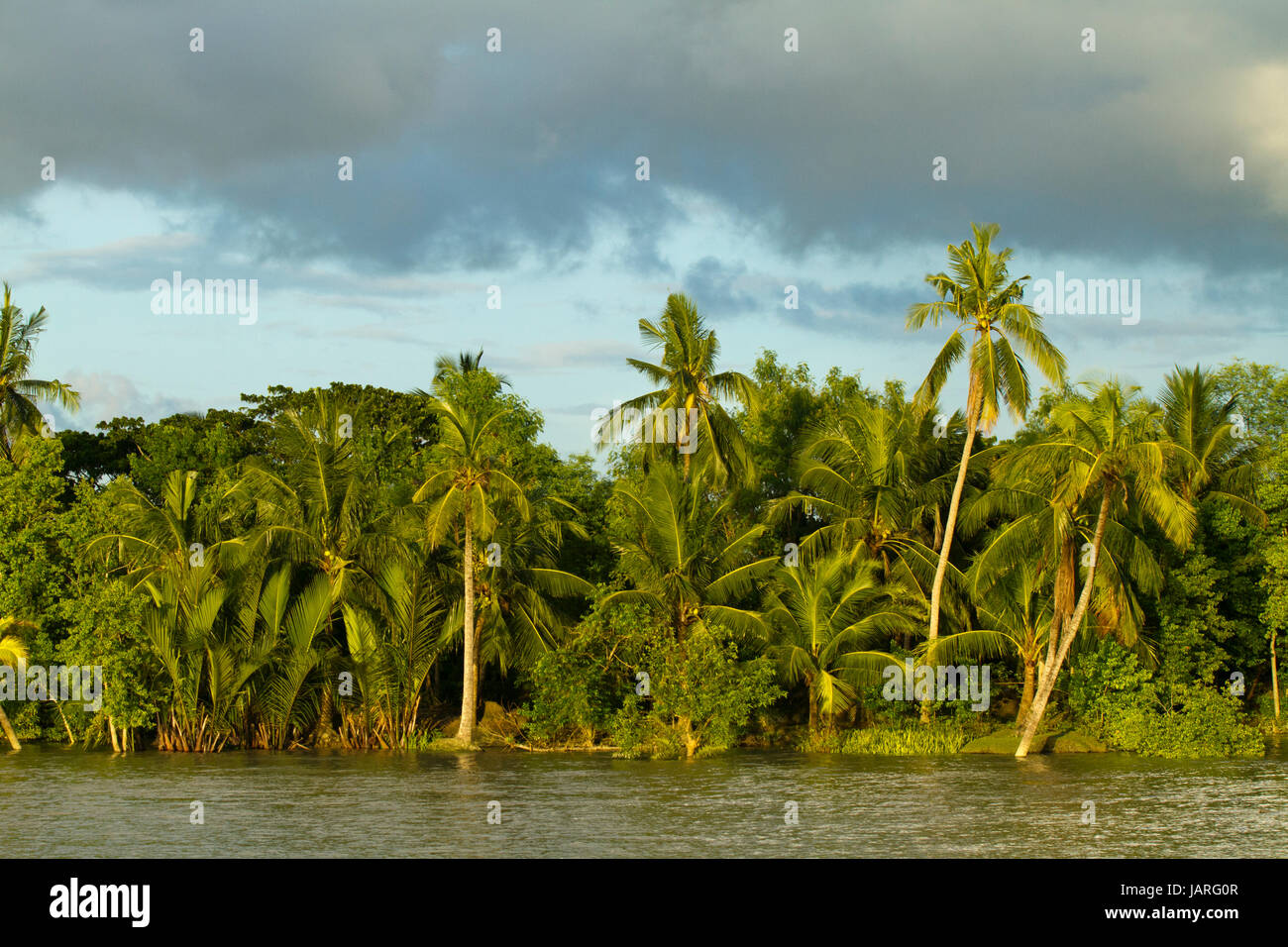 Villaggio sulla banca del fiume di Pasur. Bagerhat, Bangladesh Foto Stock