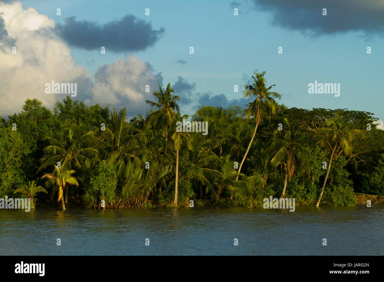 Villaggio sulla banca del fiume di Pasur. Bagerhat, Bangladesh Foto Stock