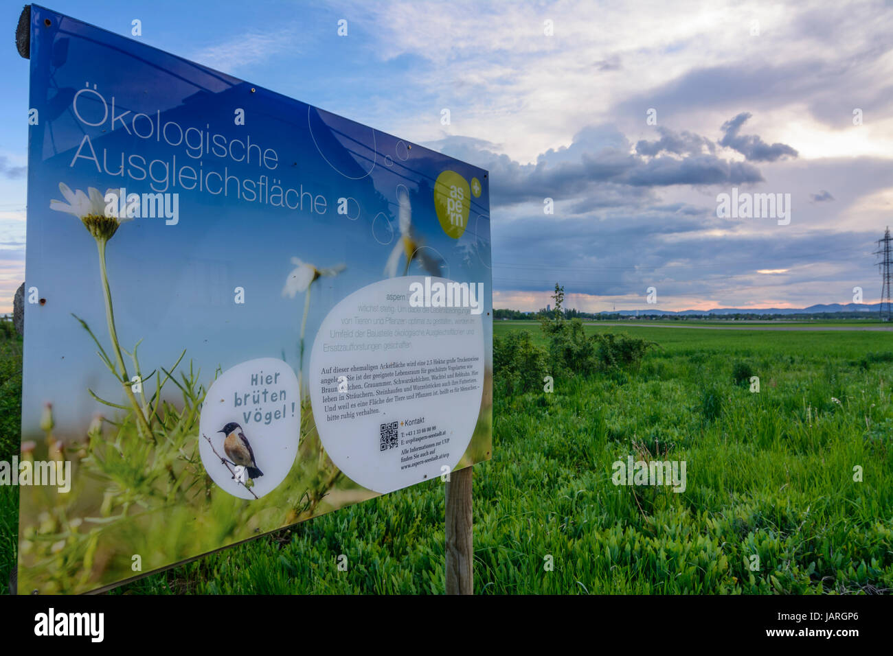 Ökologische Ausgleichsfläche (compensazione ecologica area) con il segno di Aspern Seestadt, Groß-Enzersdorf,, Donau Niederösterreich, Bassa Austria, Au Foto Stock