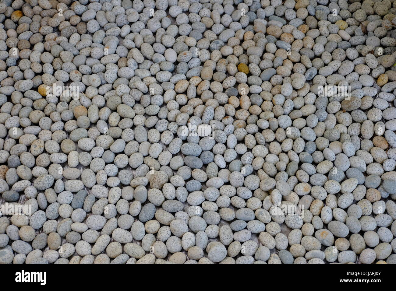 Giardini Rocciosi E Scogliere Di Contenimento - Volpi Garden Design - Foto 8