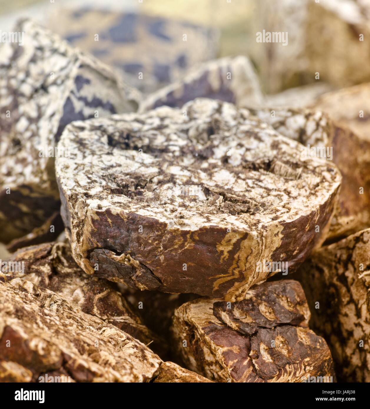 Close-up di ammissione macro Foto Stock