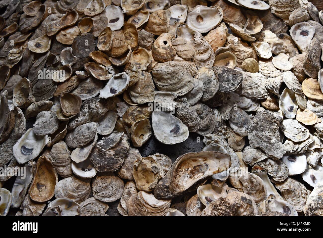 Long Island Maritime Museum West Sayville New York NY fondata nel 1966 sul lungomare motivi di Meadowedge station wagon. Foto Stock