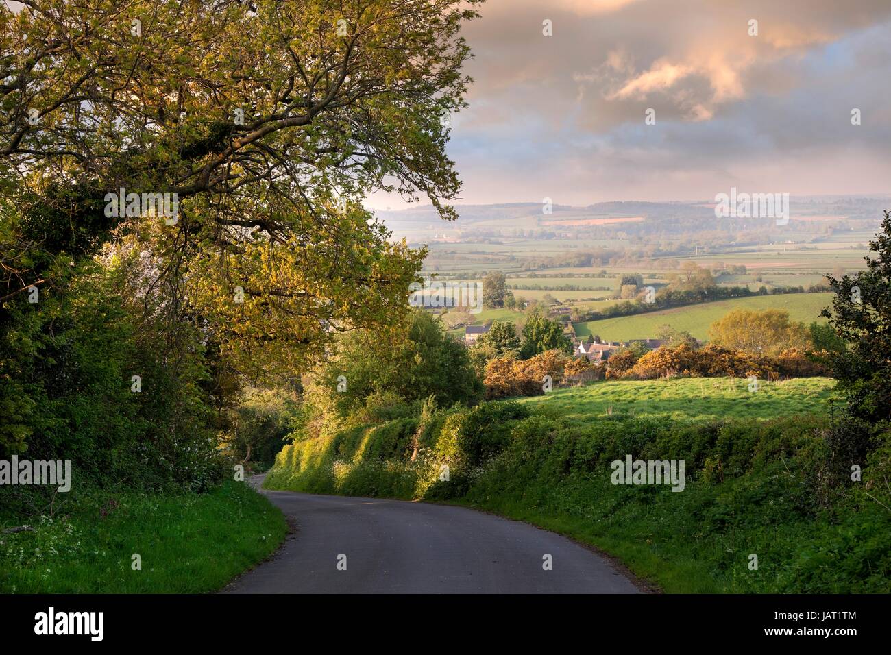 La sera vicino al grazioso villaggio Costwold di Ilmington, Warwickshire, Inghilterra. Foto Stock