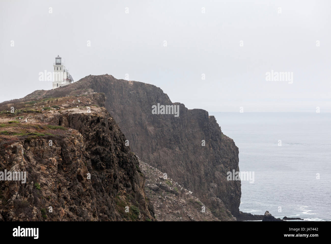 Isola di Anacapa foggy clifftop faro presso il Parco Nazionale delle Channel Islands nella California Meridionale. Foto Stock