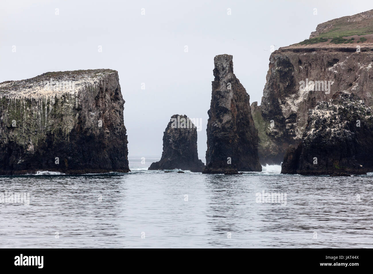 Spiaggia rocciosa di Anacapa island nel Parco Nazionale delle Isole del Canale nei pressi di Oxnard in California. Foto Stock