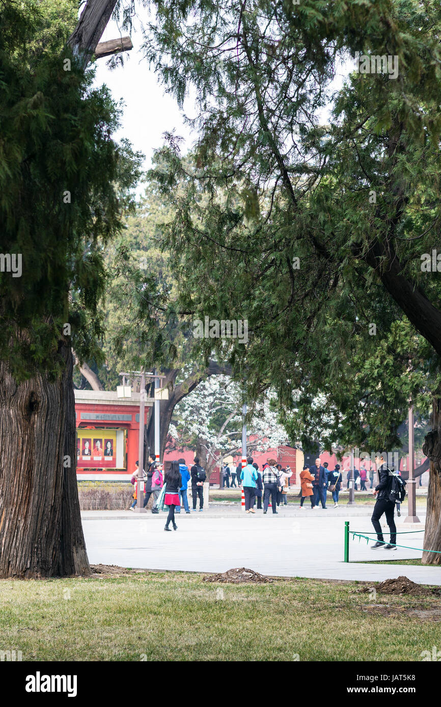 Pechino, Cina - 19 Marzo 2017: la gente nel lavoro culturale del popolo (Palazzo Imperiale sala ancestrale) parco pubblico di Pechino città imperiale in primavera. Foto Stock