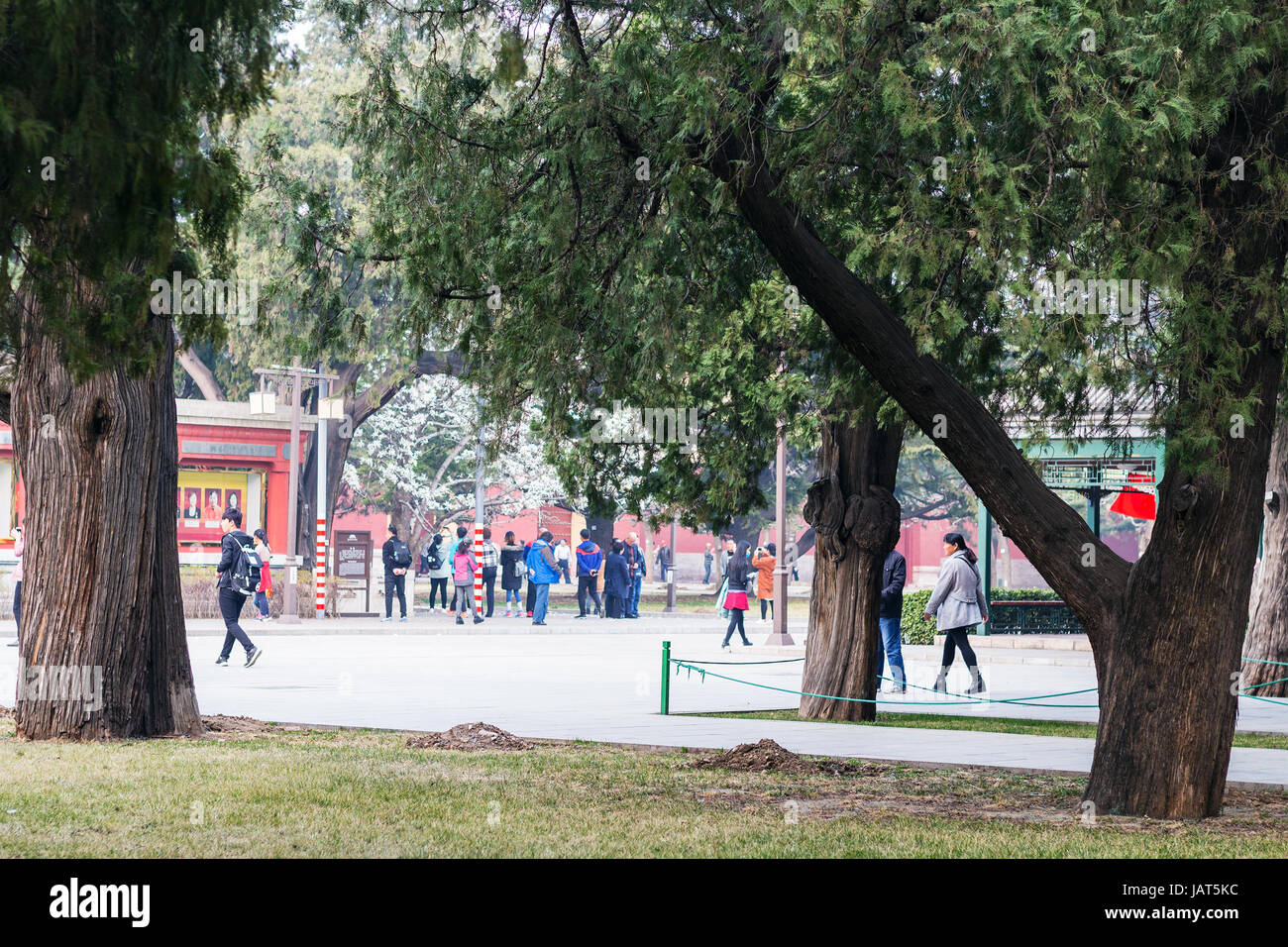 Pechino, Cina - 19 Marzo 2017: i visitatori nel lavoro culturale del popolo (Palazzo Imperiale sala ancestrale) parco pubblico di Pechino città imperiale in primavera Foto Stock