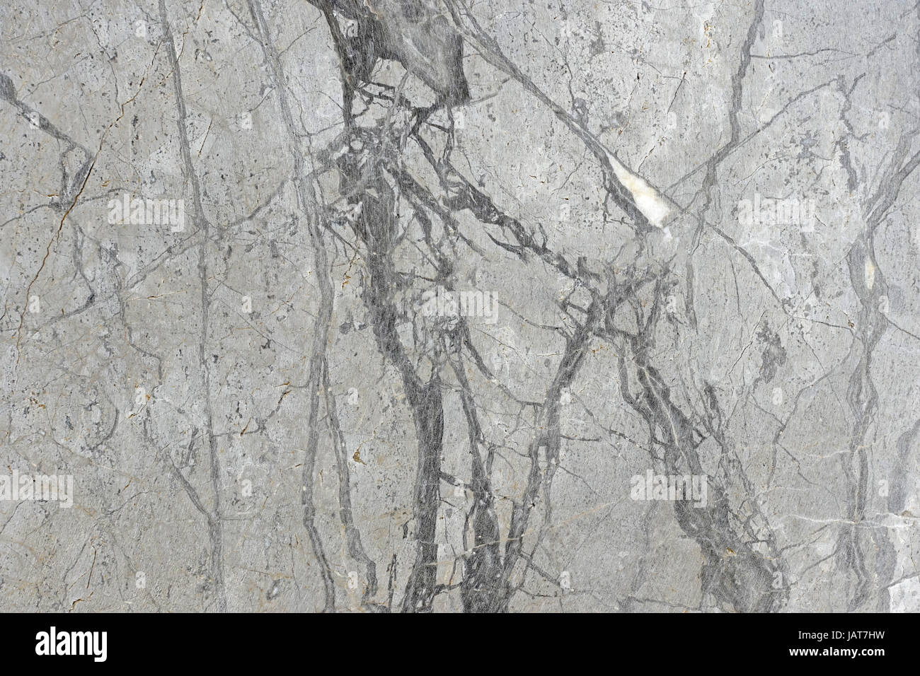 Marmo grigio Sfondo texture. Foto Stock