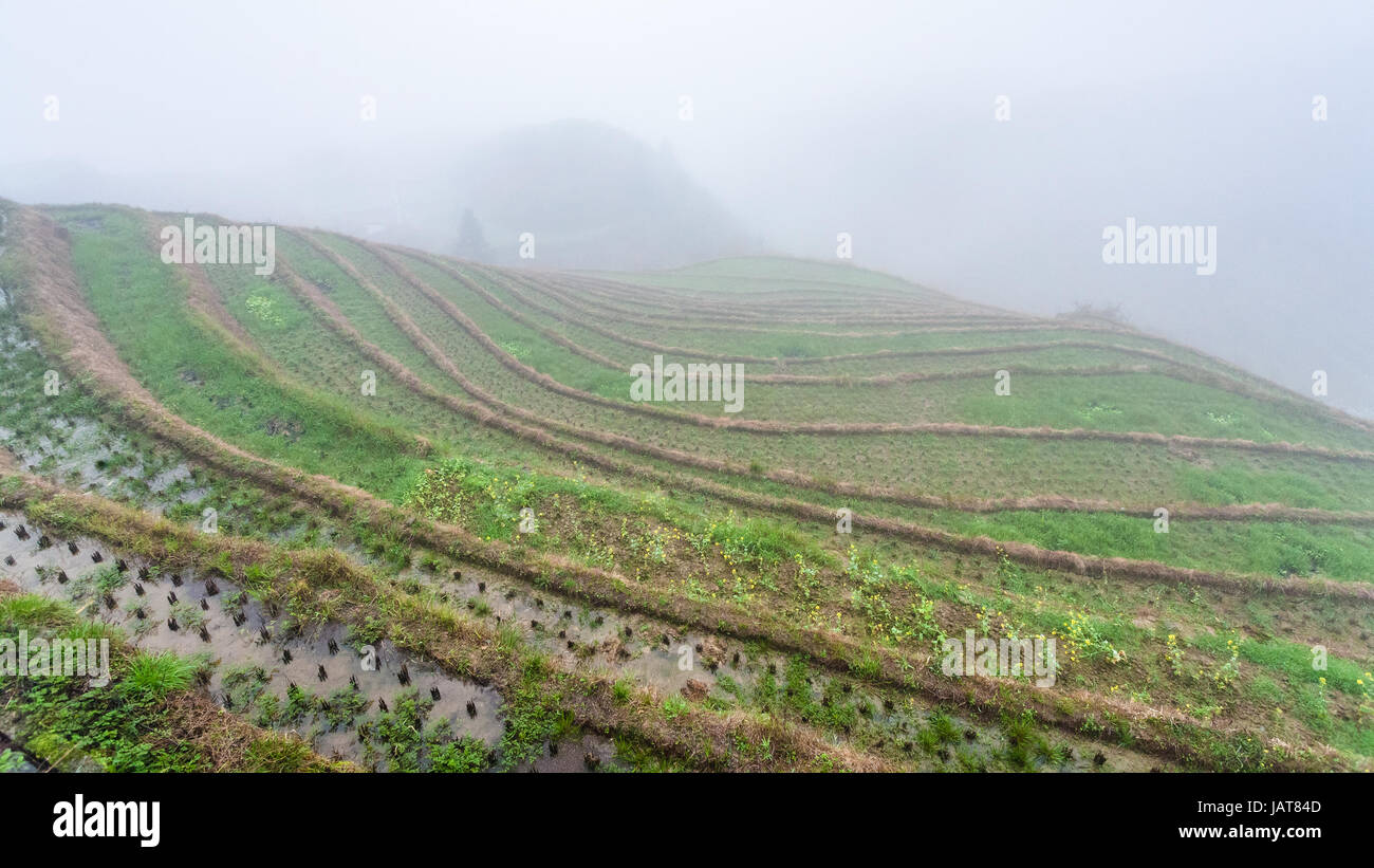 Viaggio in Cina - nebbia sul riso fieilds terrazzati dal punto di vista Musica dal Paradiso in area di Dazhai Longsheng terrazze di riso (Dragon's Backbone di terra Foto Stock