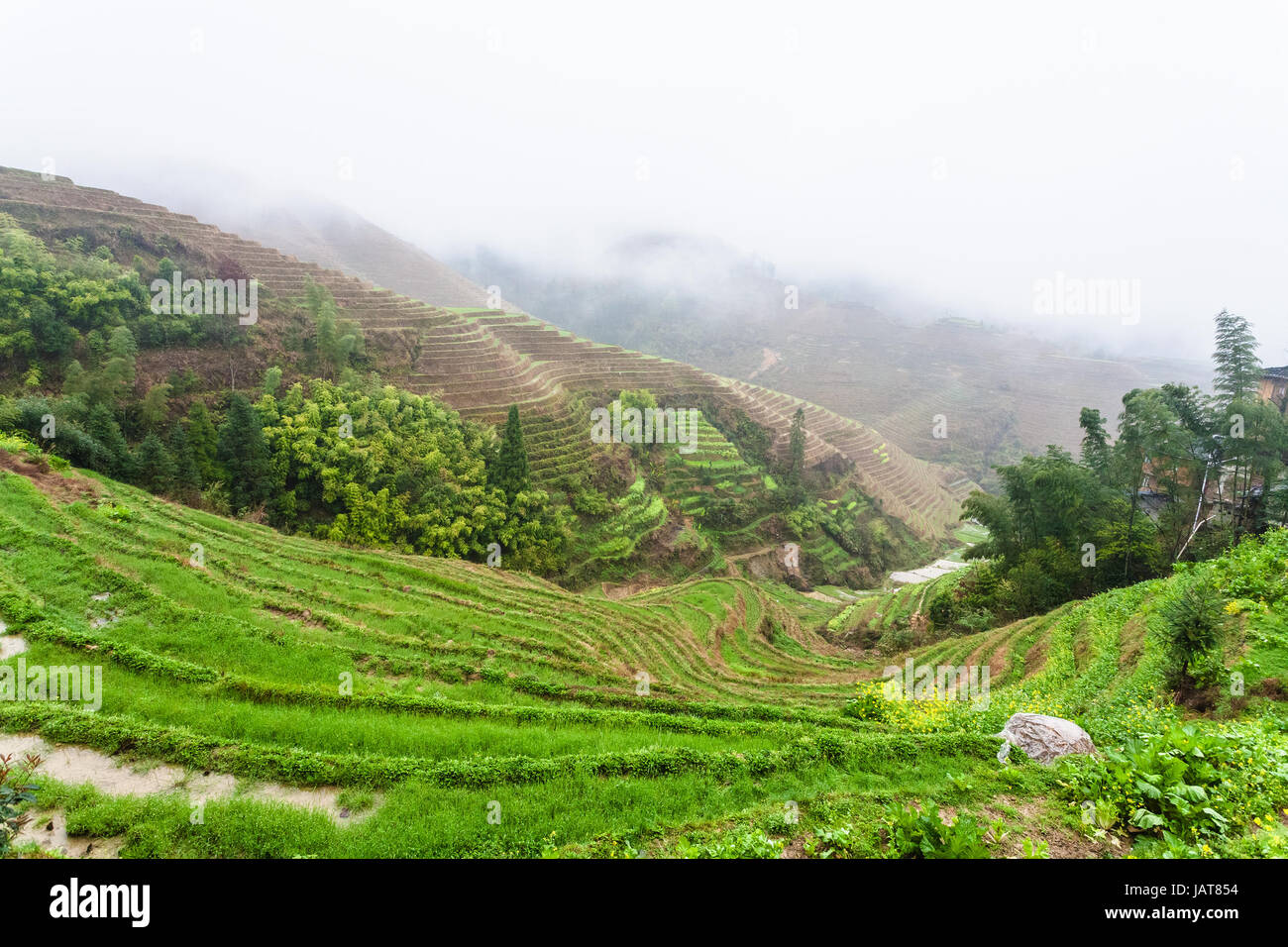 Viaggio in Cina - Vista del wet campi di riso terrazzati sotto le nuvole dal villaggio Tiantouzhai nell'area Dazhai Longsheng terrazze di riso (Dragon's Backbone ter Foto Stock