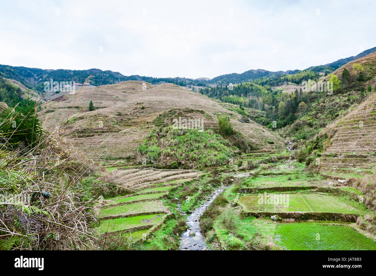 Viaggio in Cina - vista dei giardini terrazzati e creek nel villaggio Dazhai nel paese di Longsheng terrazze di riso (Dragon's Backbone terrazza, Longji t di riso Foto Stock