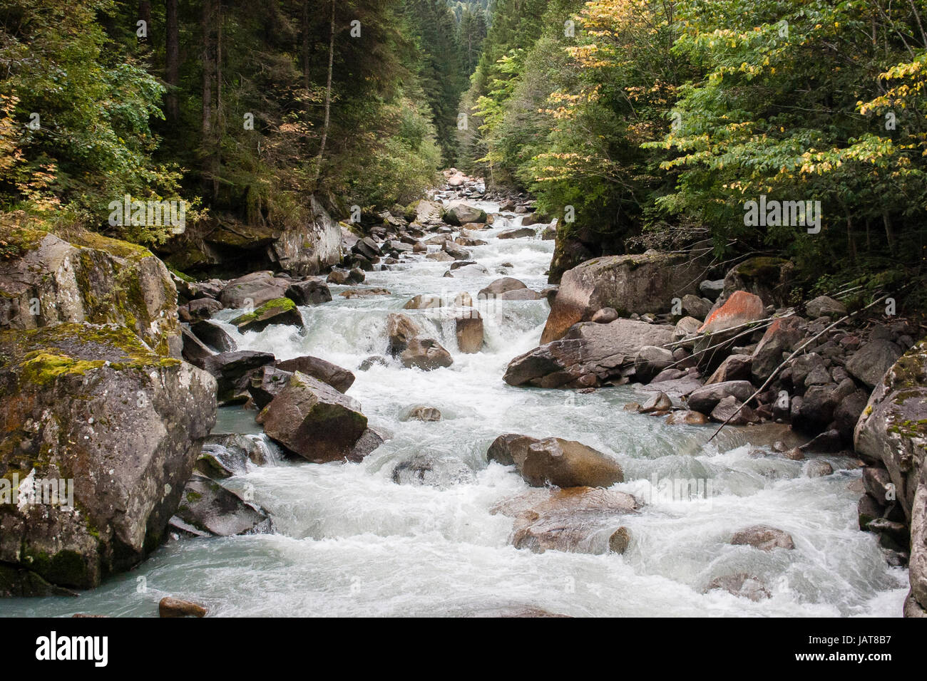 Fiume Sarca all'interno del Parco Adamello Brenta Trentino alto-adige italia Foto Stock