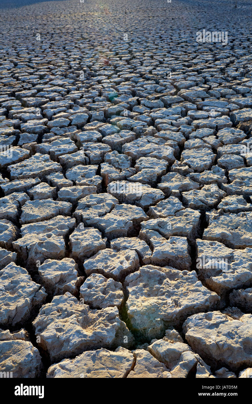 Letto di billibong con il cracking di fango dopo che l'acqua è evaporata durante l'estate Foto Stock