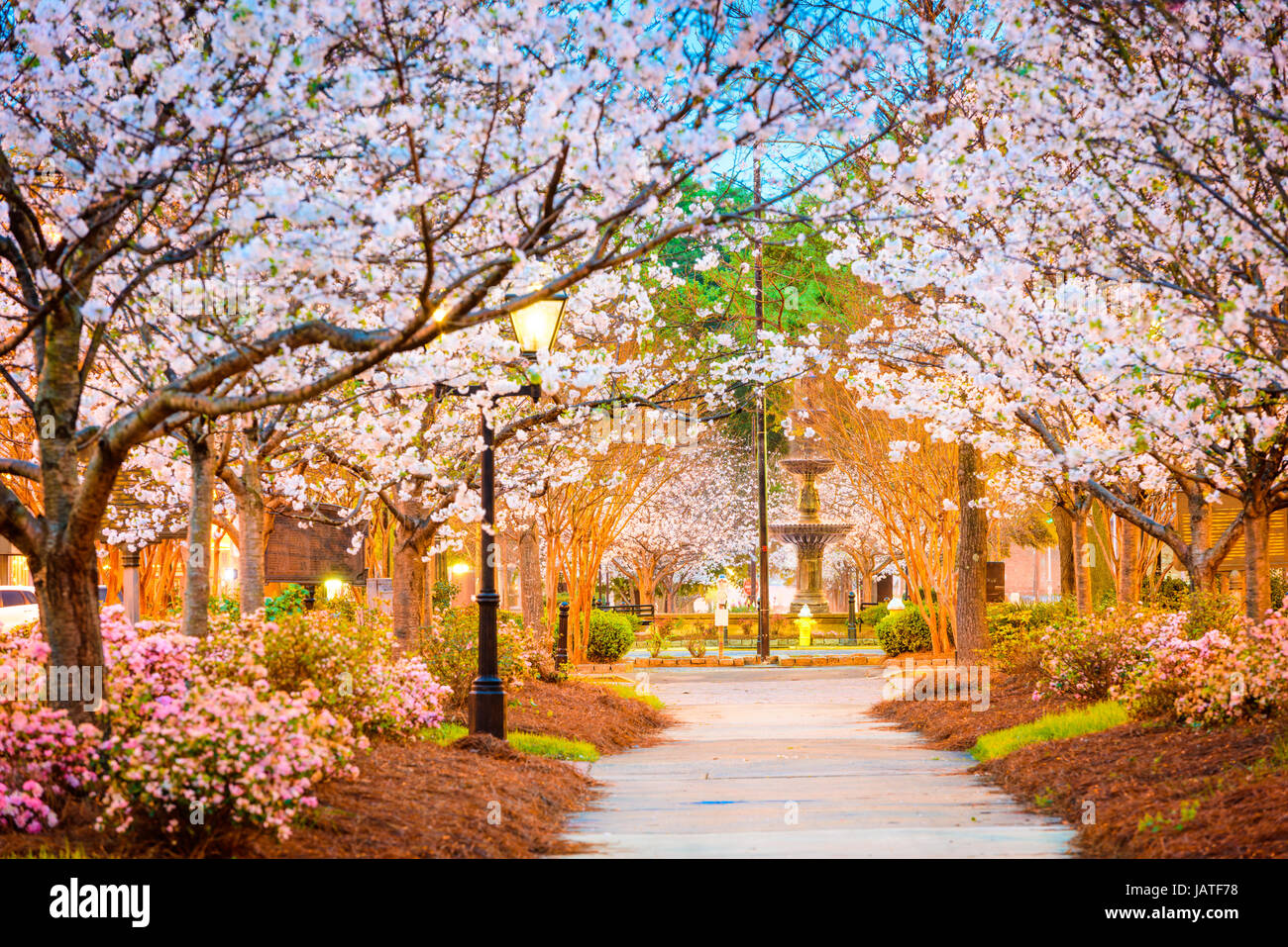 Macon, Georgia, Stati Uniti d'America in primavera. Foto Stock