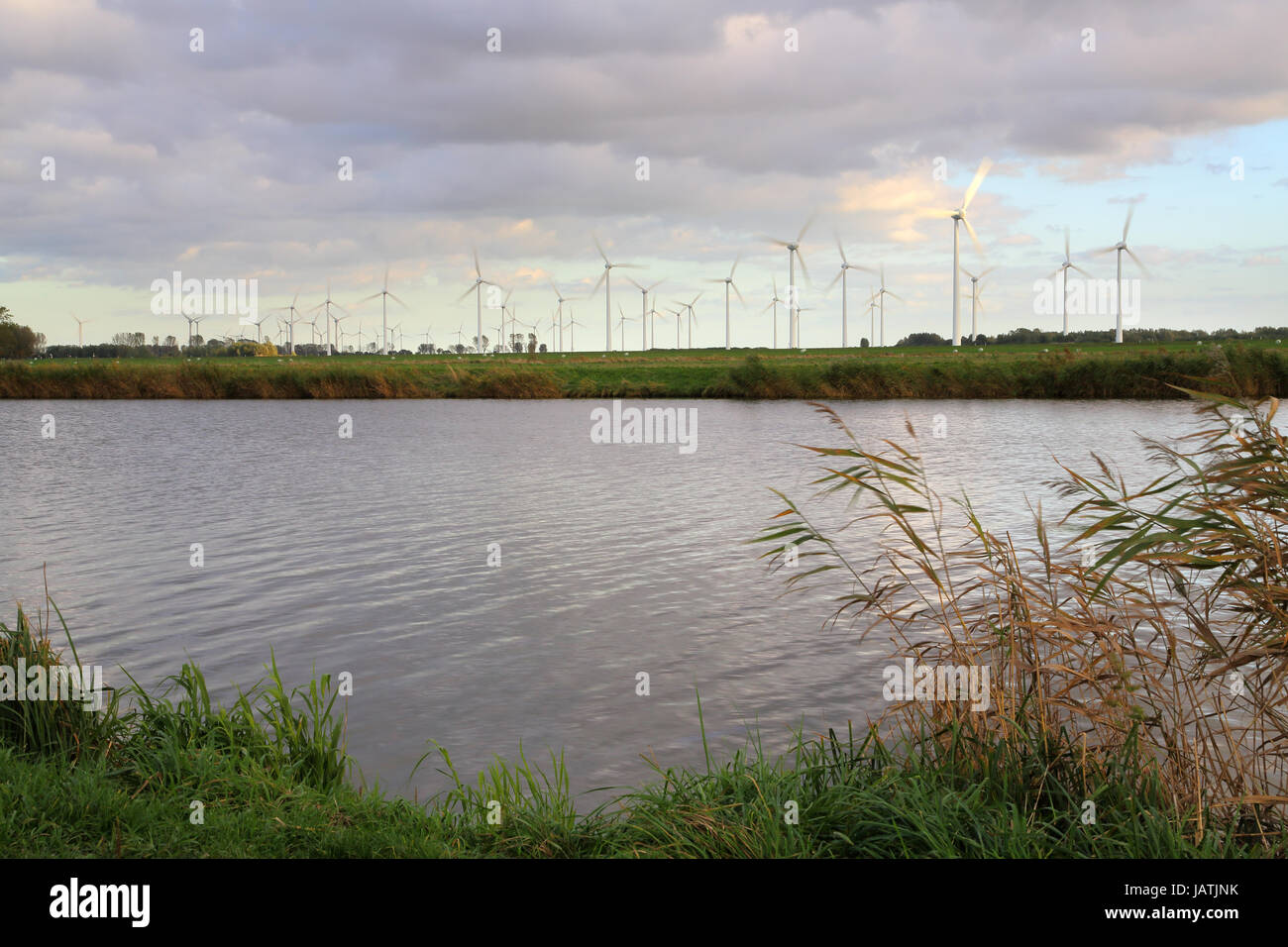 I campi corso d'acqua Foto Stock