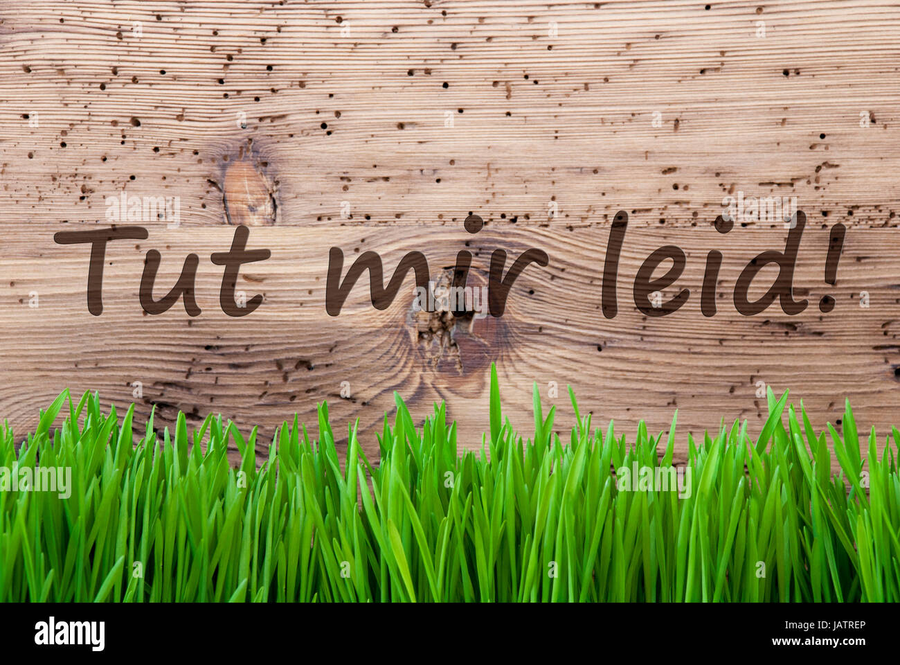 Luminosa sullo sfondo di legno, Gras, Tut Mir Leid significa Spiacenti Foto Stock