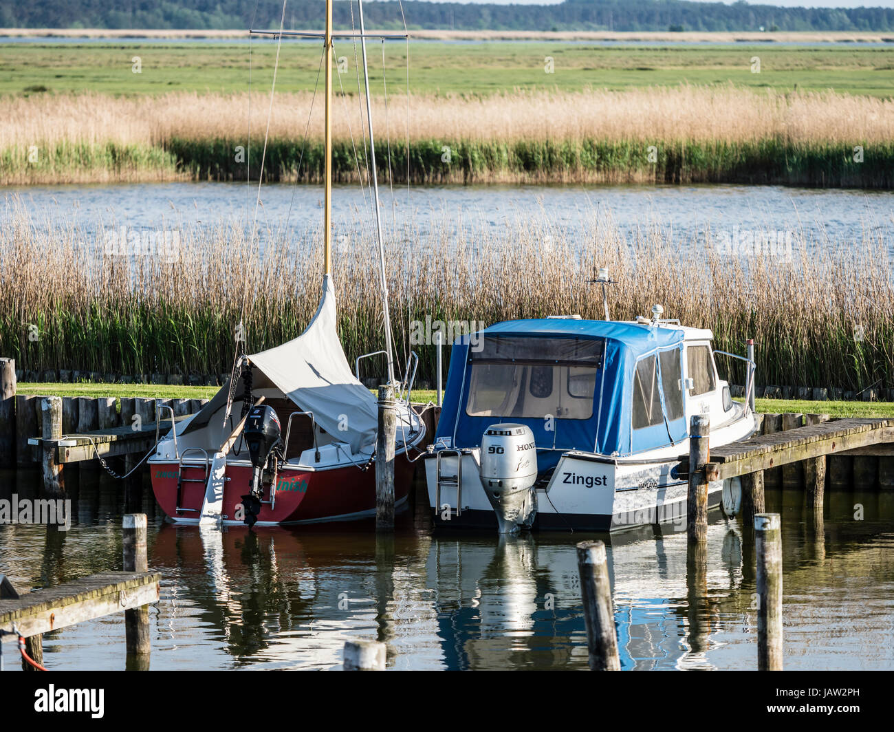 Piccola Marina a Zingst, Mar Baltico della penisola di Fischland-Darß-Zingst, Zingst, Meclenburgo-Pomerania Occidentale, Germania Foto Stock