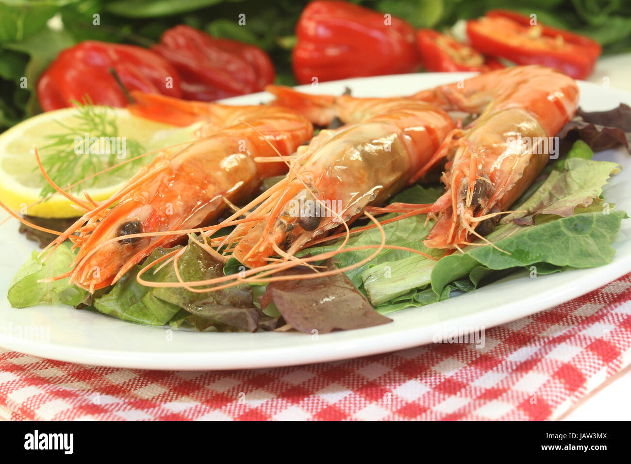 Garnelen auf Salat mit limone und aneto Foto Stock