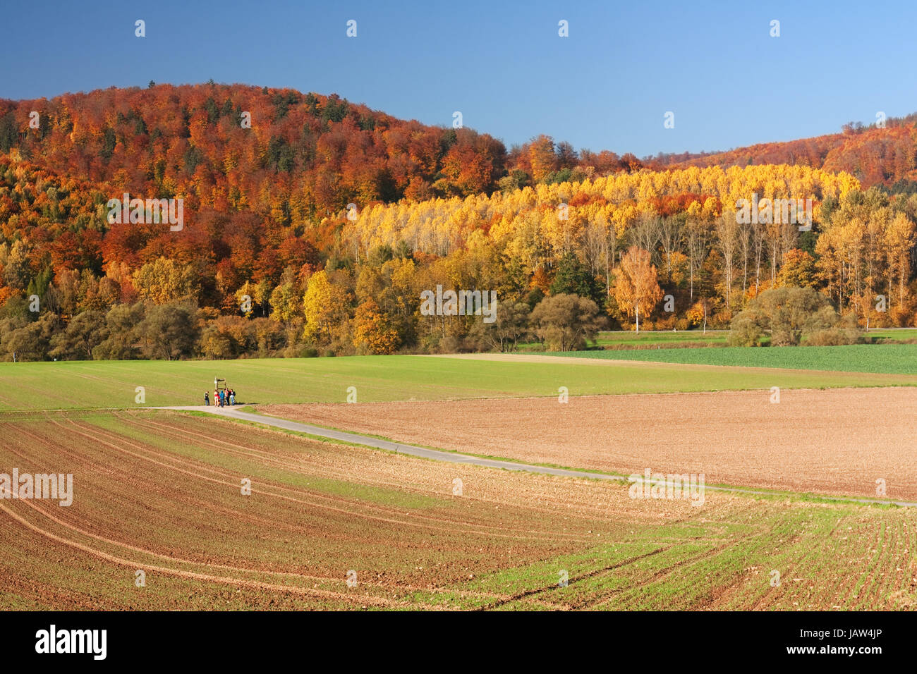 Herbst im Weserbergland an der Grenze zwischen Niedersachsen und Hessen. In autunno il Weser Uplands (Weserbergland), Germania Foto Stock