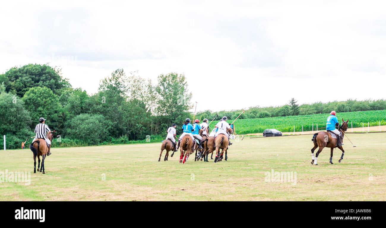 Polo gioco in Baviera, Germania. Stupendo campo, cavalli, colori Foto Stock