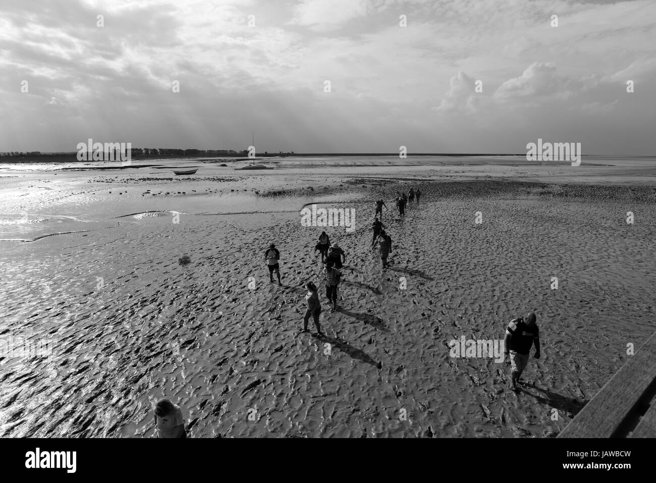 Sabbia Walkers, le persone camminare sulla sabbia a bassa marea sulla costa della Normandia Foto Stock