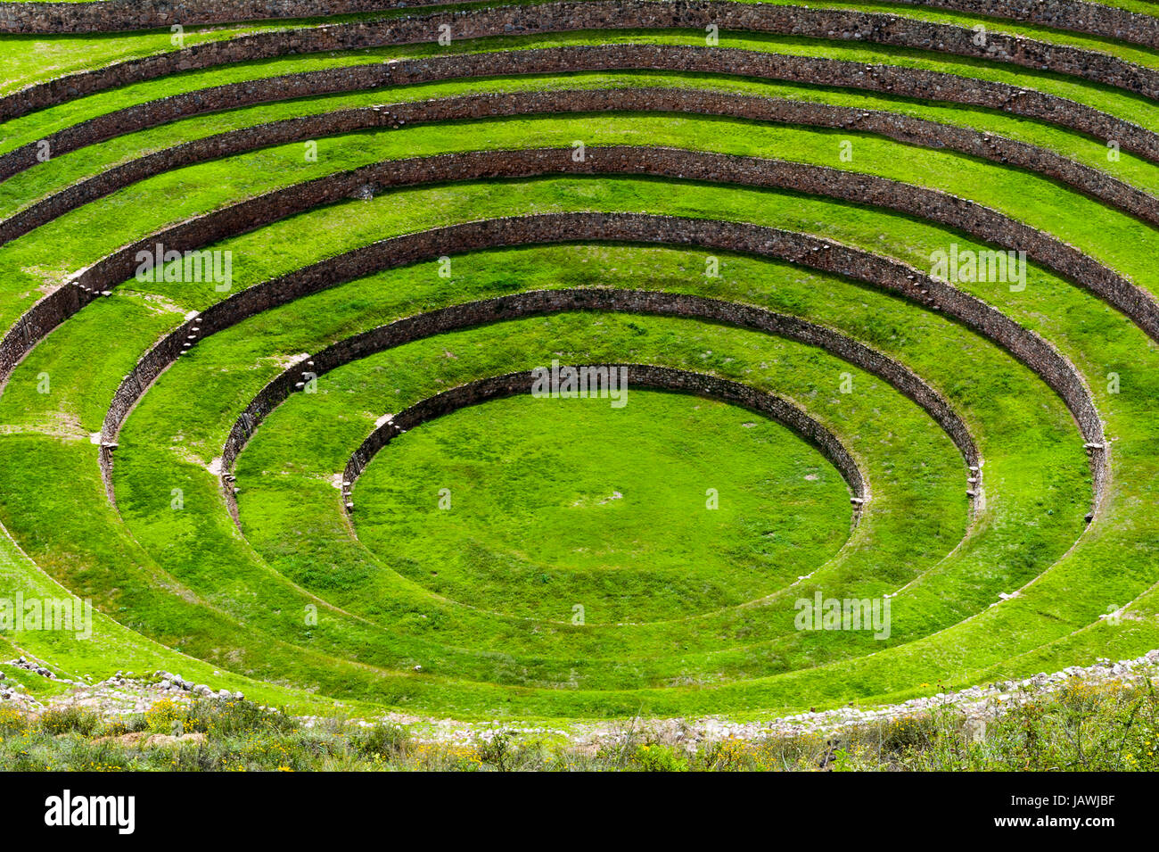 Un sito Inca con muro di pietra terrazzamenti per la coltivazione di colture agricole creando microclimi. Foto Stock