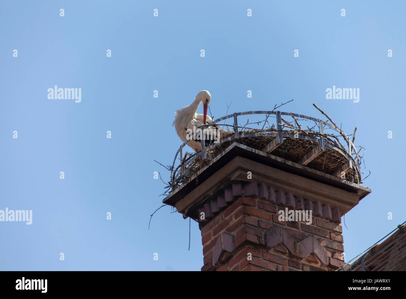 Storch auf dem Schornstein des VHS-Begäudes in Forchheim/dir Foto Stock