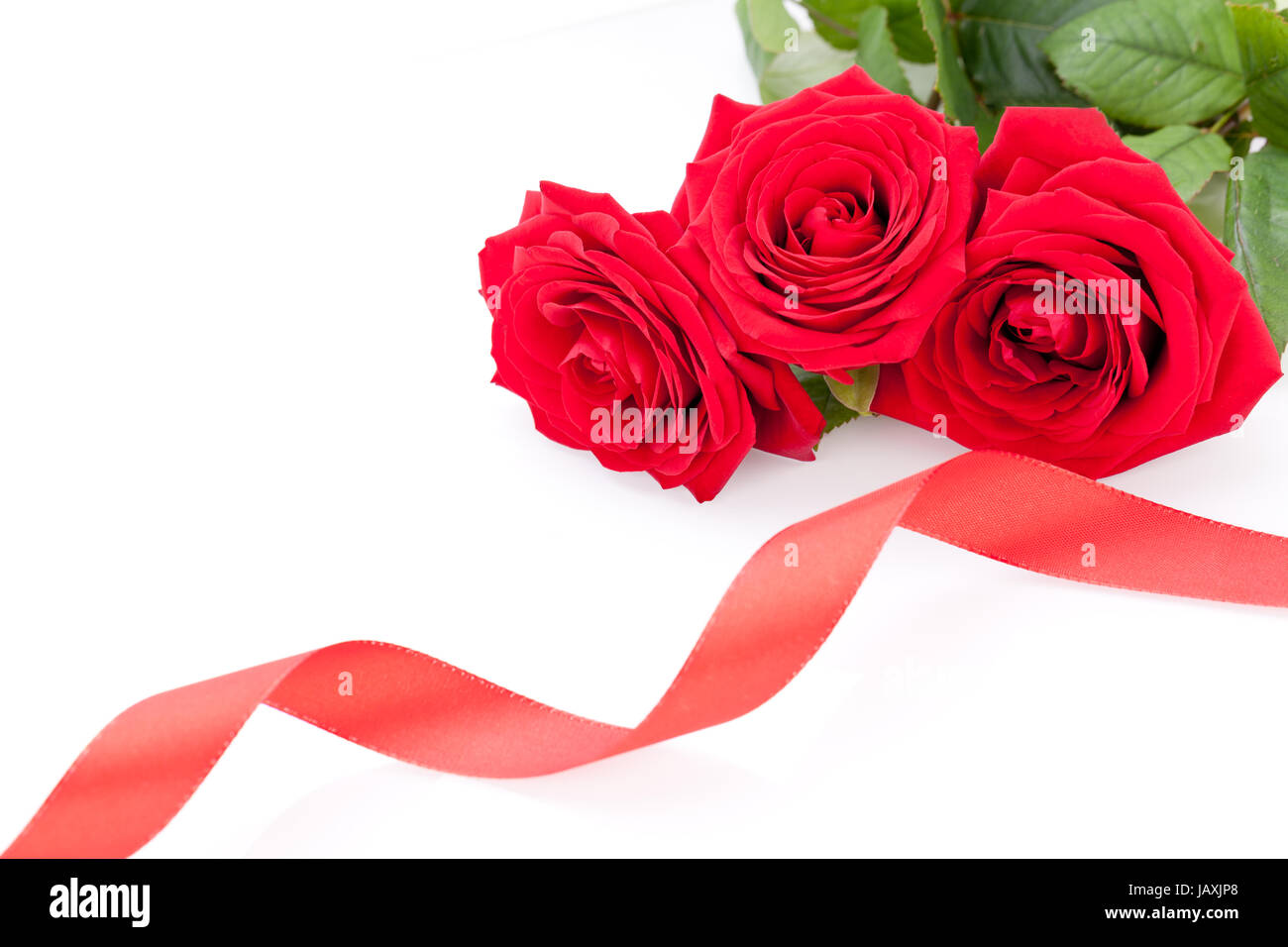 Frische rote rosen Mit einem roten band isoliert auf weissem hintergrund textfreiraum copyspace Foto Stock