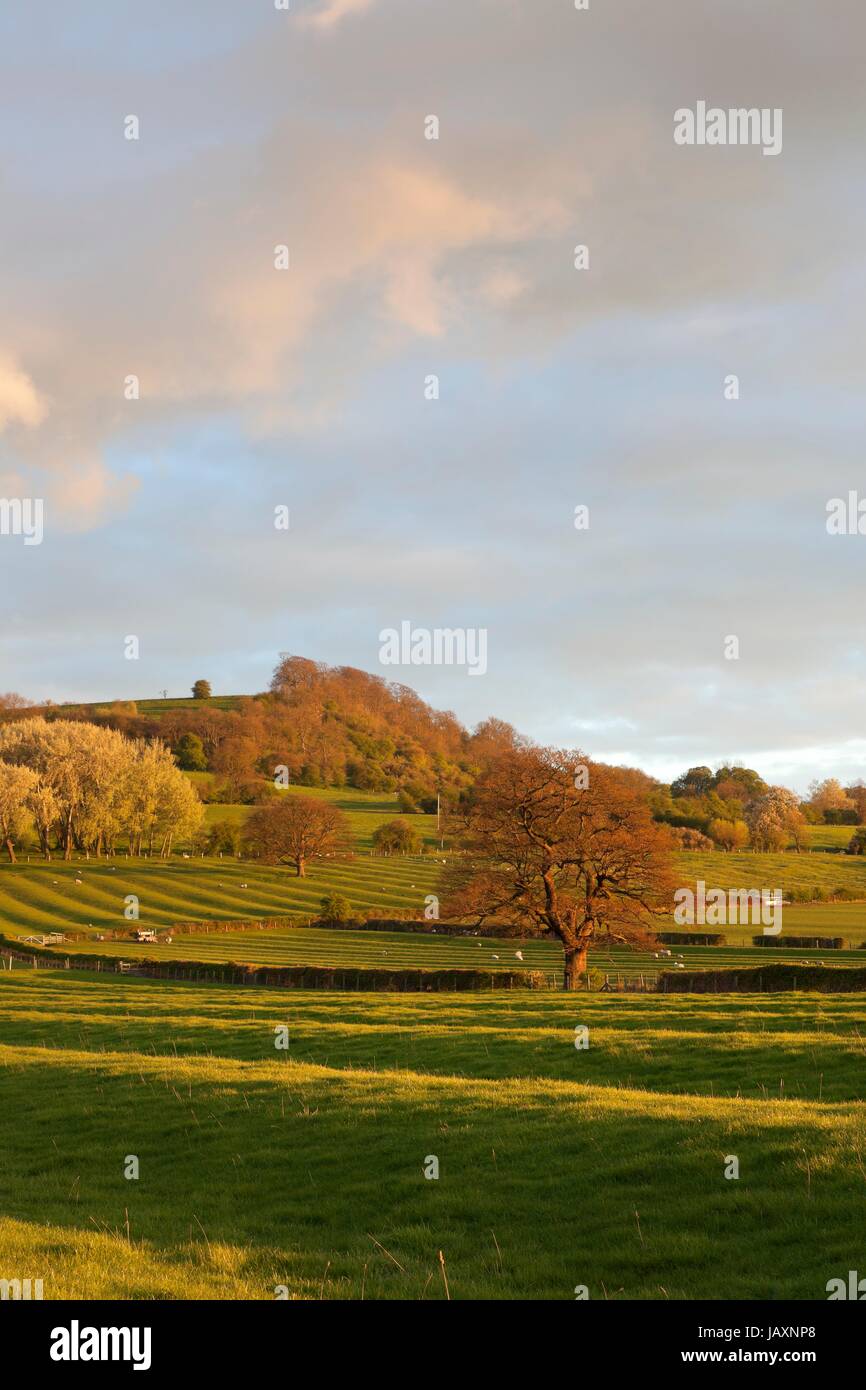 Antica ridge e il solco modelli di campo, Warwickshire, Inghilterra. Foto Stock