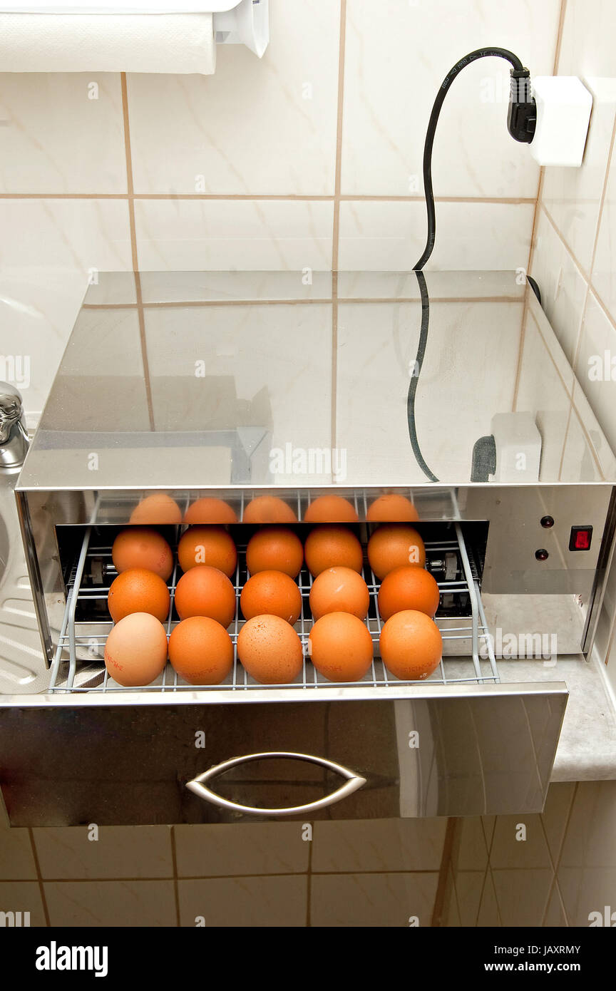 La disinfezione delle uova dispositivo con raggi UV Foto stock - Alamy