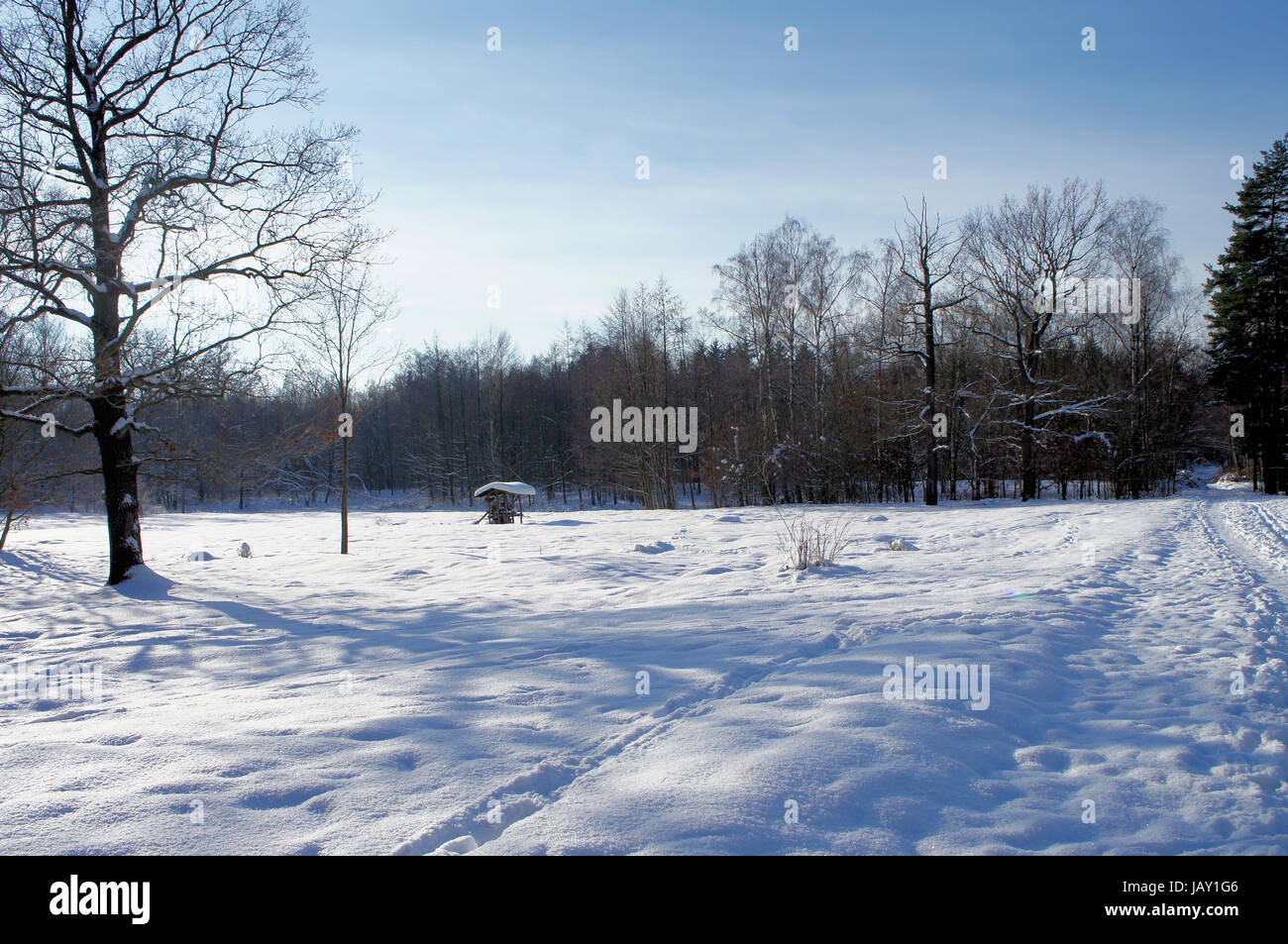 Weg und Skispuren durch eine Winterlandschaft; sonniger Tag mit blauem Himmel percorso e piste da sci attraverso un paesaggio invernale; giornata soleggiata con cielo blu Foto Stock