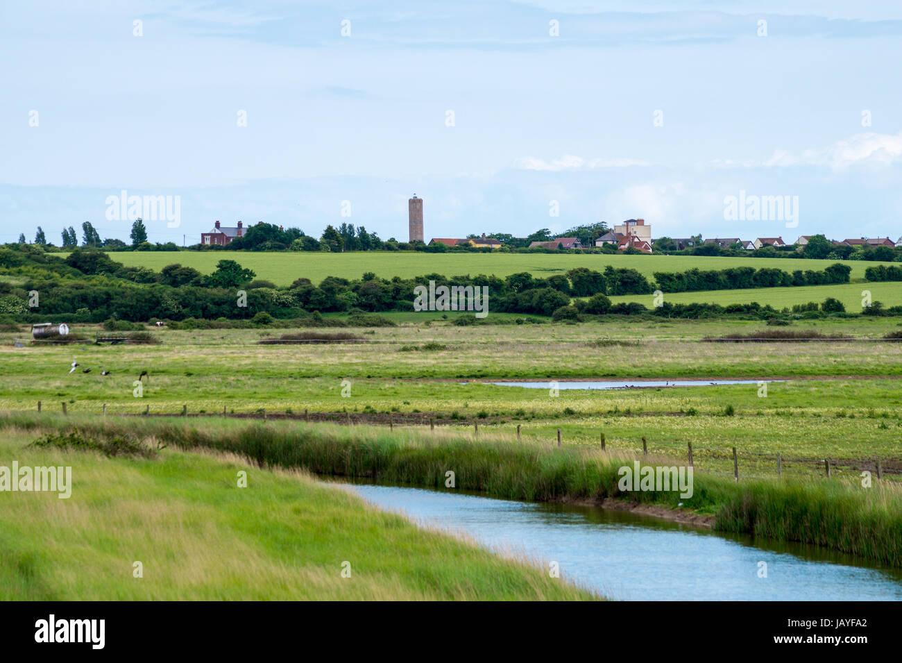 Naze Tower vista dal Naze riserva naturale e lagune, Walton sul Naze, Essex, Inghilterra Foto Stock