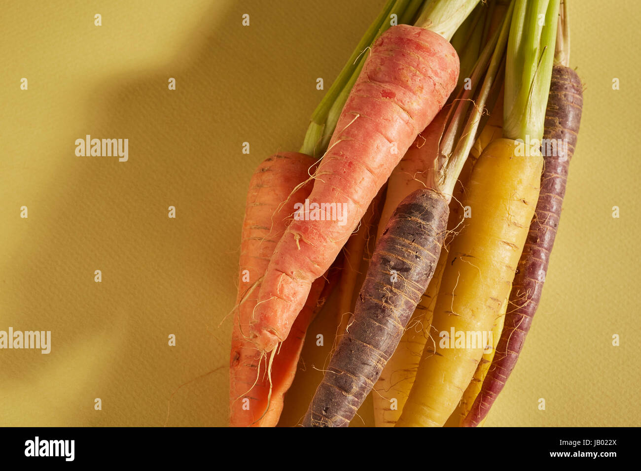 Un mazzetto di carote multicolore Foto Stock