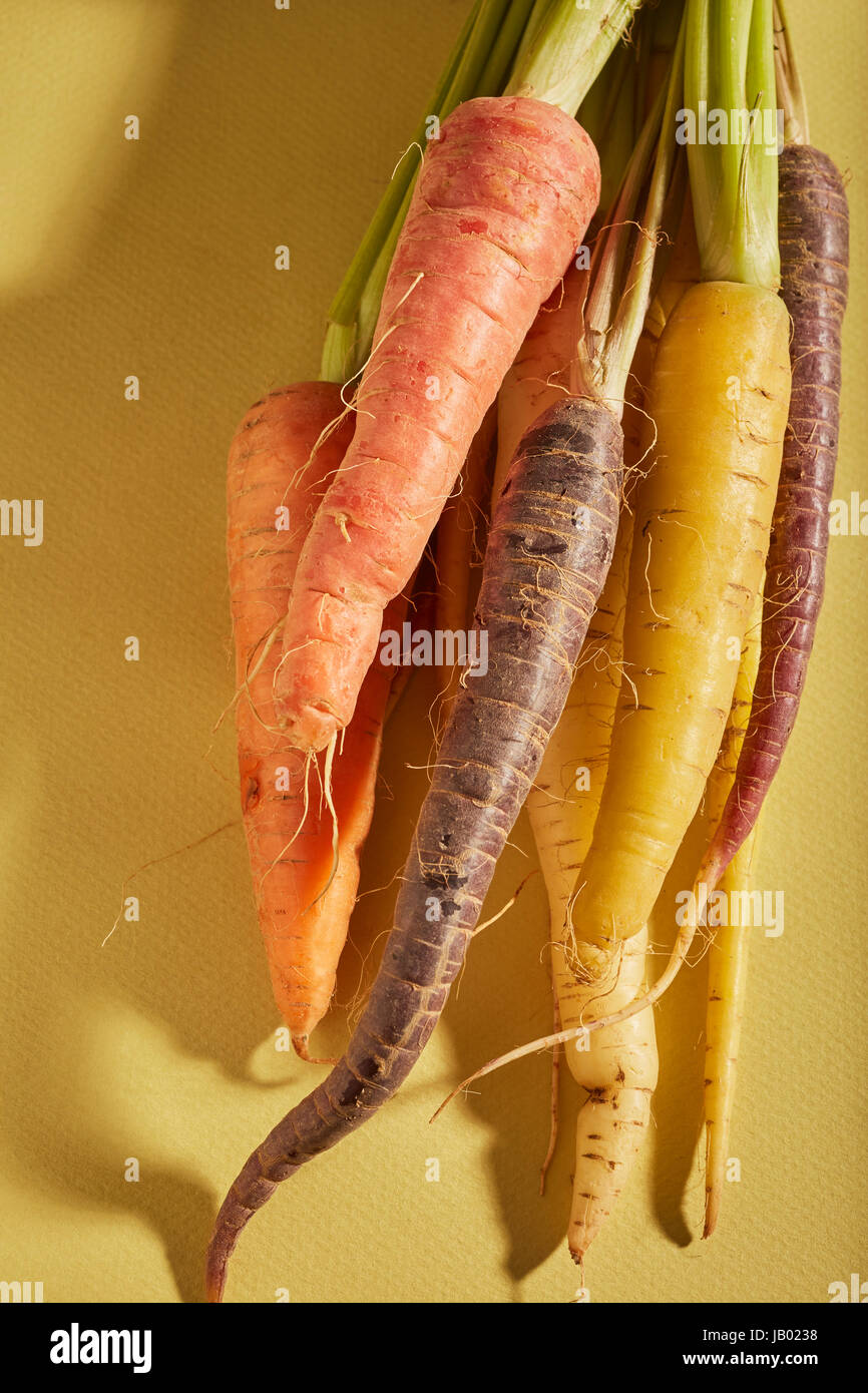 Un mazzetto di carote multicolore Foto Stock