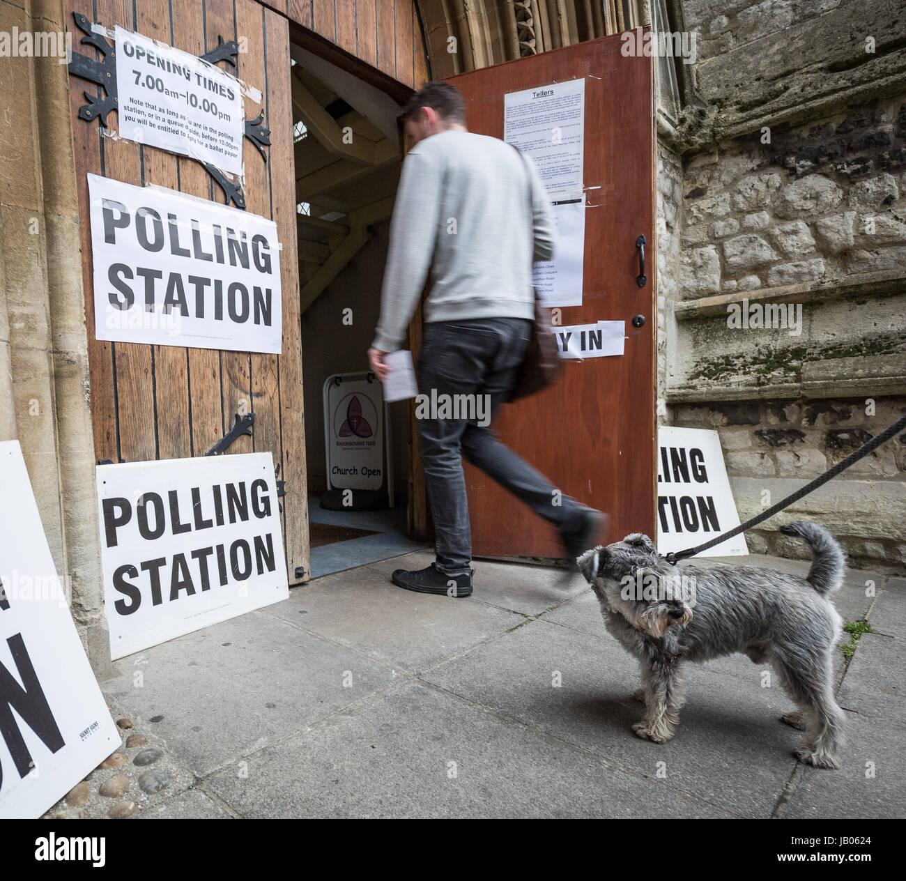 Londra, Regno Unito. 8 Giugno, 2017. Oscar il cane attende al di fuori della stazione di polling a san Giovanni nella chiesa della Santissima Trinità ad Deptford. Elezioni generali giornata elettorale nel sud est di Londra © Guy Corbishley/Alamy Live News Foto Stock