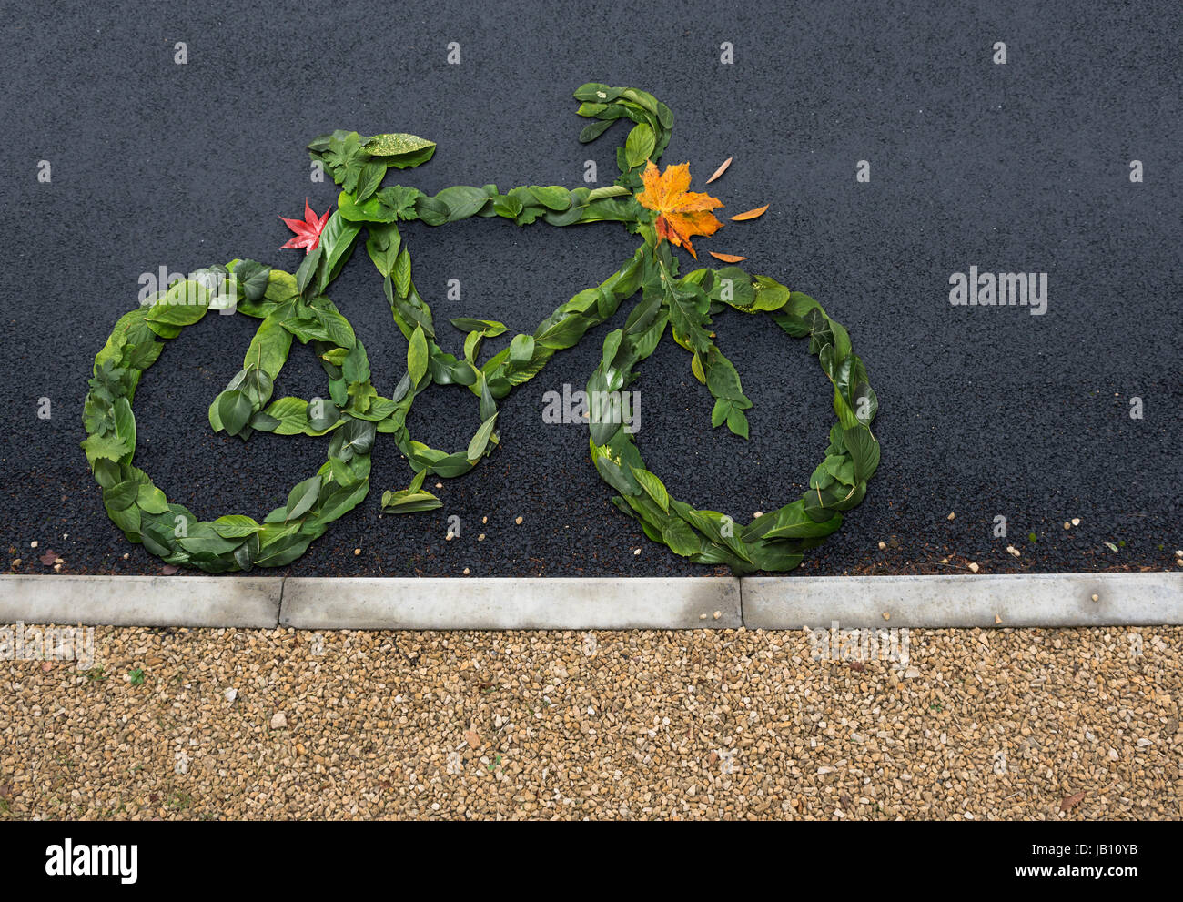 Simbolo di bicicletta realizzata da foglie verdi sulla strada Foto Stock