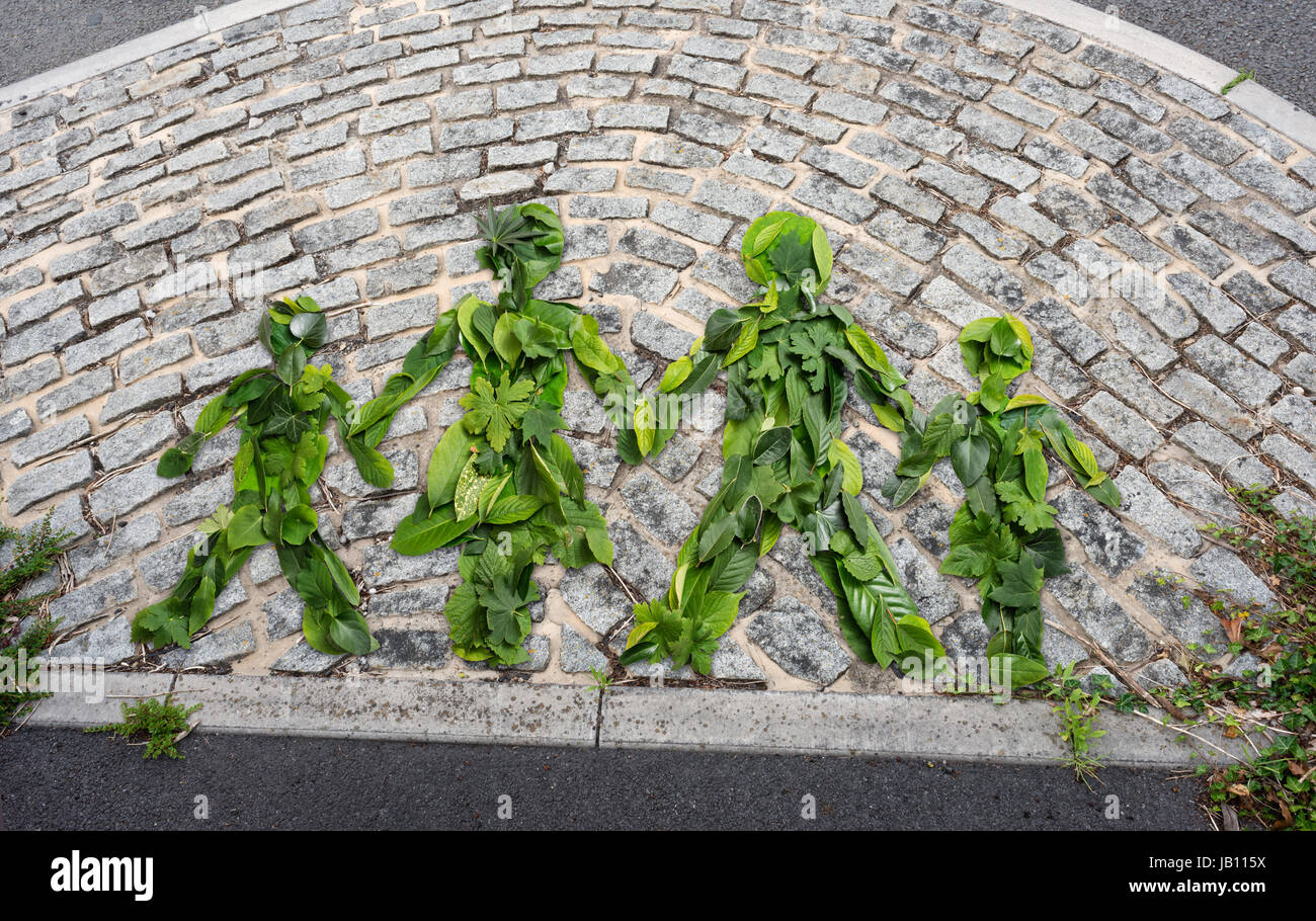 Simbolo della famiglia fatta da foglie verdi Foto Stock