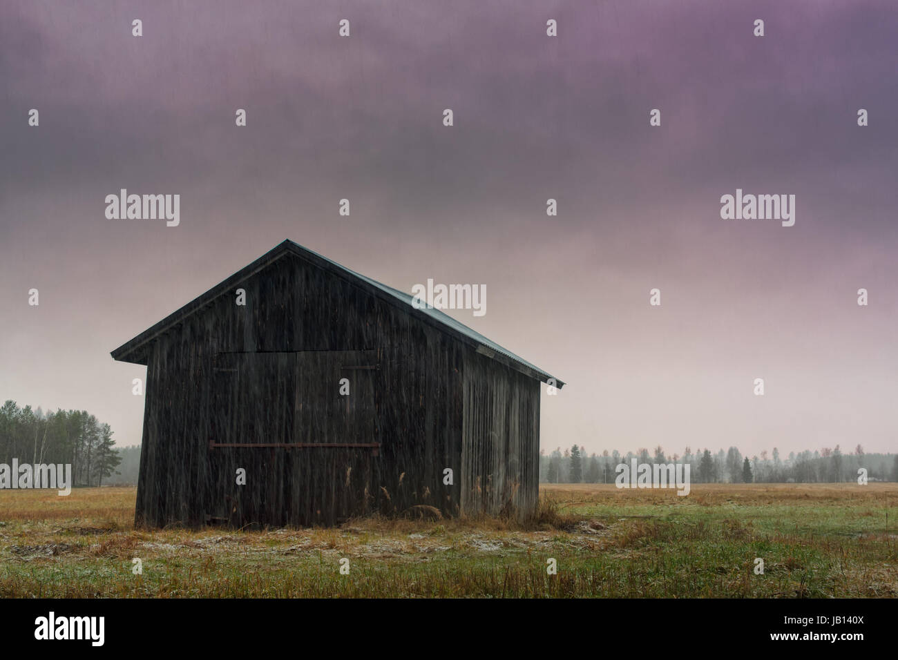 Un solitario fienile casa sorge sul bagnato campi del nord della Finlandia in una giornata autunnale. La neve cade pesantemente sui campi e sui vecchi buildi Foto Stock