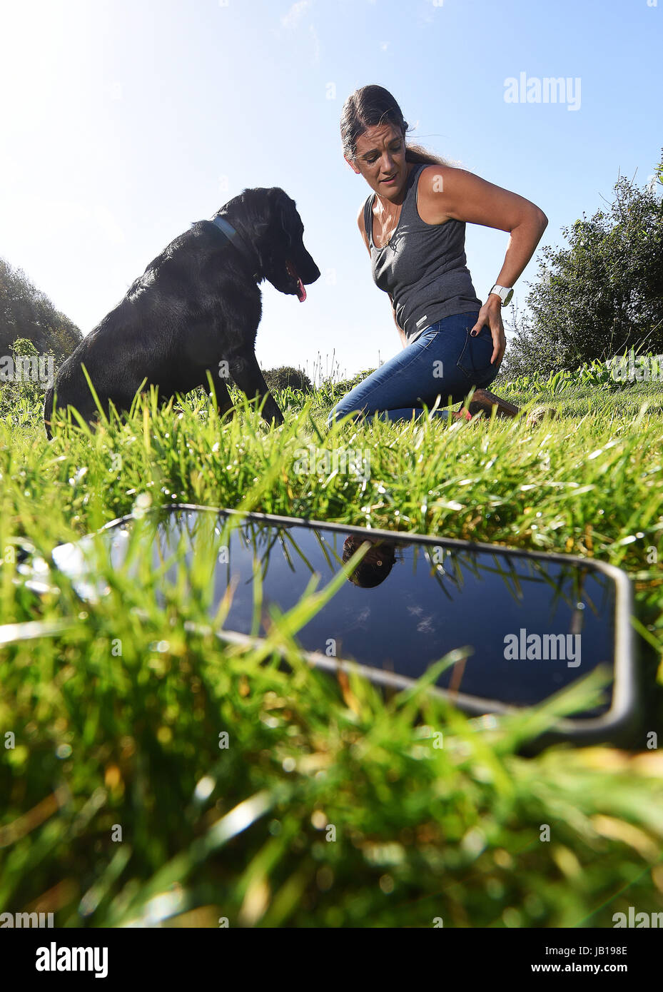 Una donna perde il suo telefono cellulare mentre si gioca con il suo cane. Foto Stock