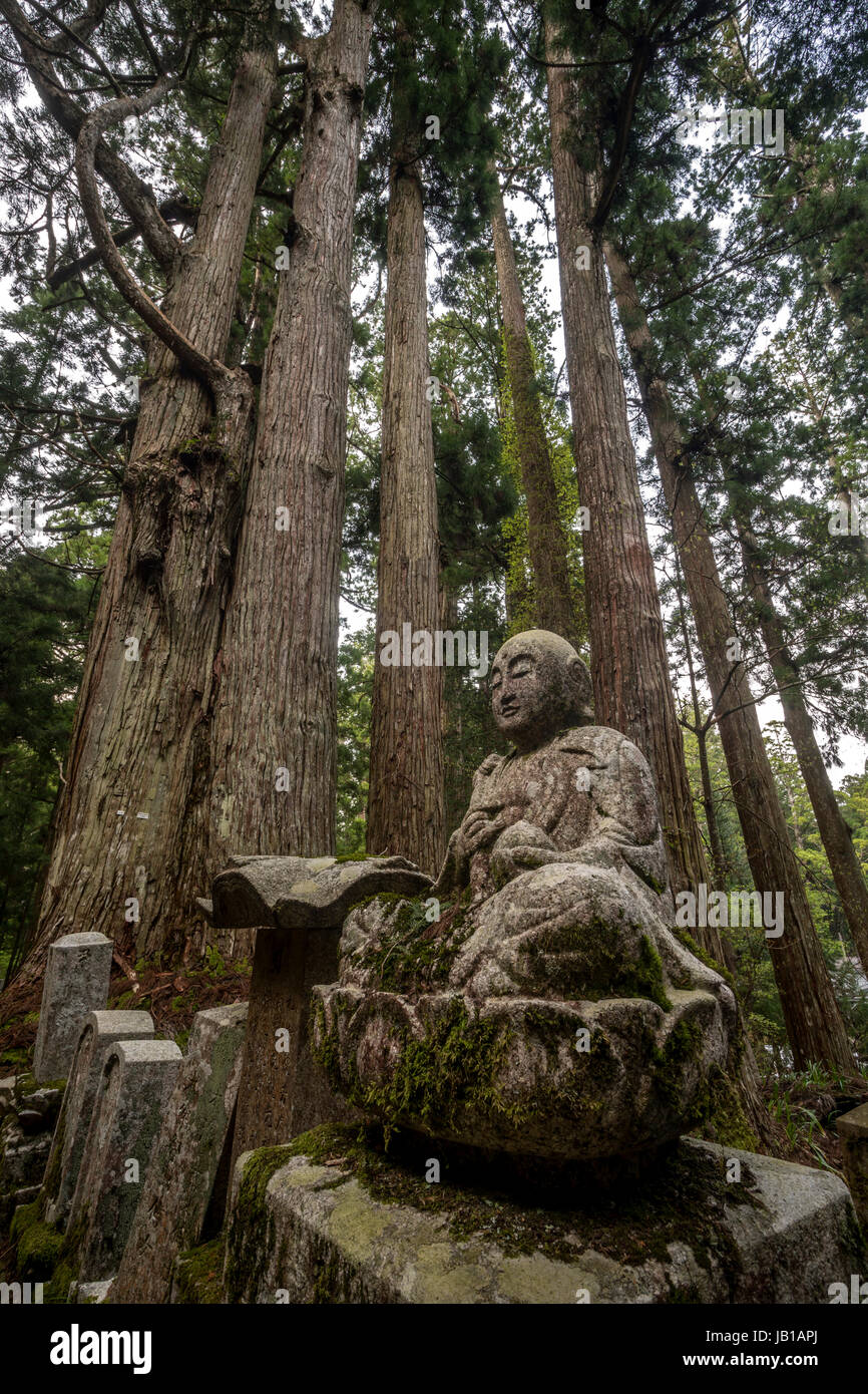 Buddha, tombe, Koya-san cimitero, Sito Patrimonio Mondiale dell'UNESCO, Wakayama, vicino ad Osaka, Giappone Foto Stock