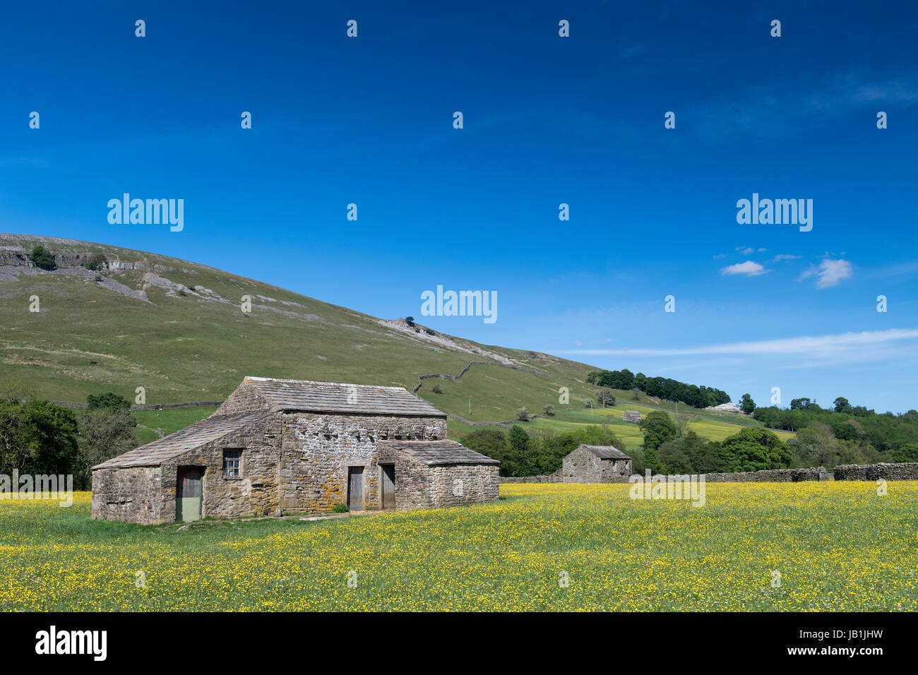 Prati fioriti in Bloom, Muker fondo, swaledale, Yorkshire Dales National Park, Regno Unito. Foto Stock