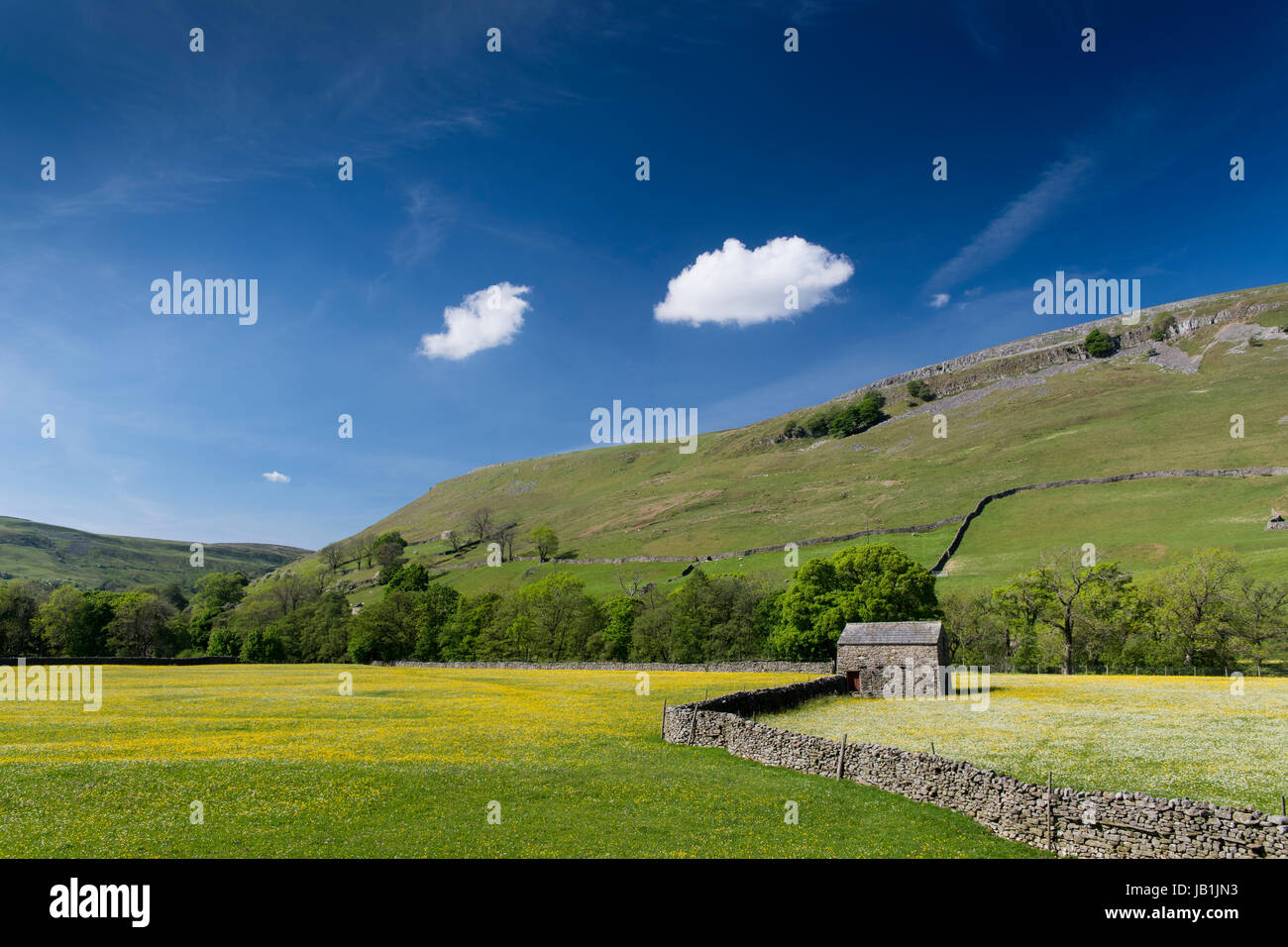 Prati fioriti in Bloom, Muker fondo, swaledale, Yorkshire Dales National Park, Regno Unito. Foto Stock
